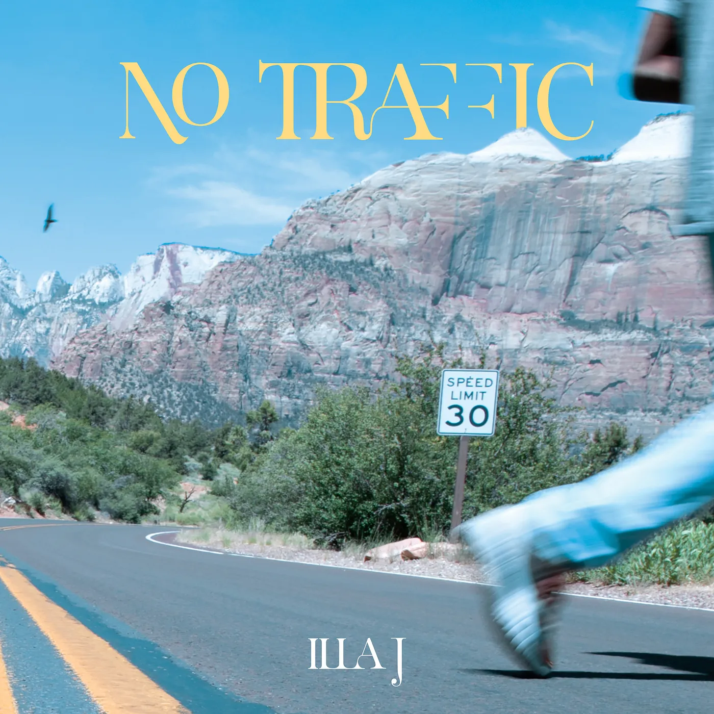 Illa J No Traffic Vinyl Record