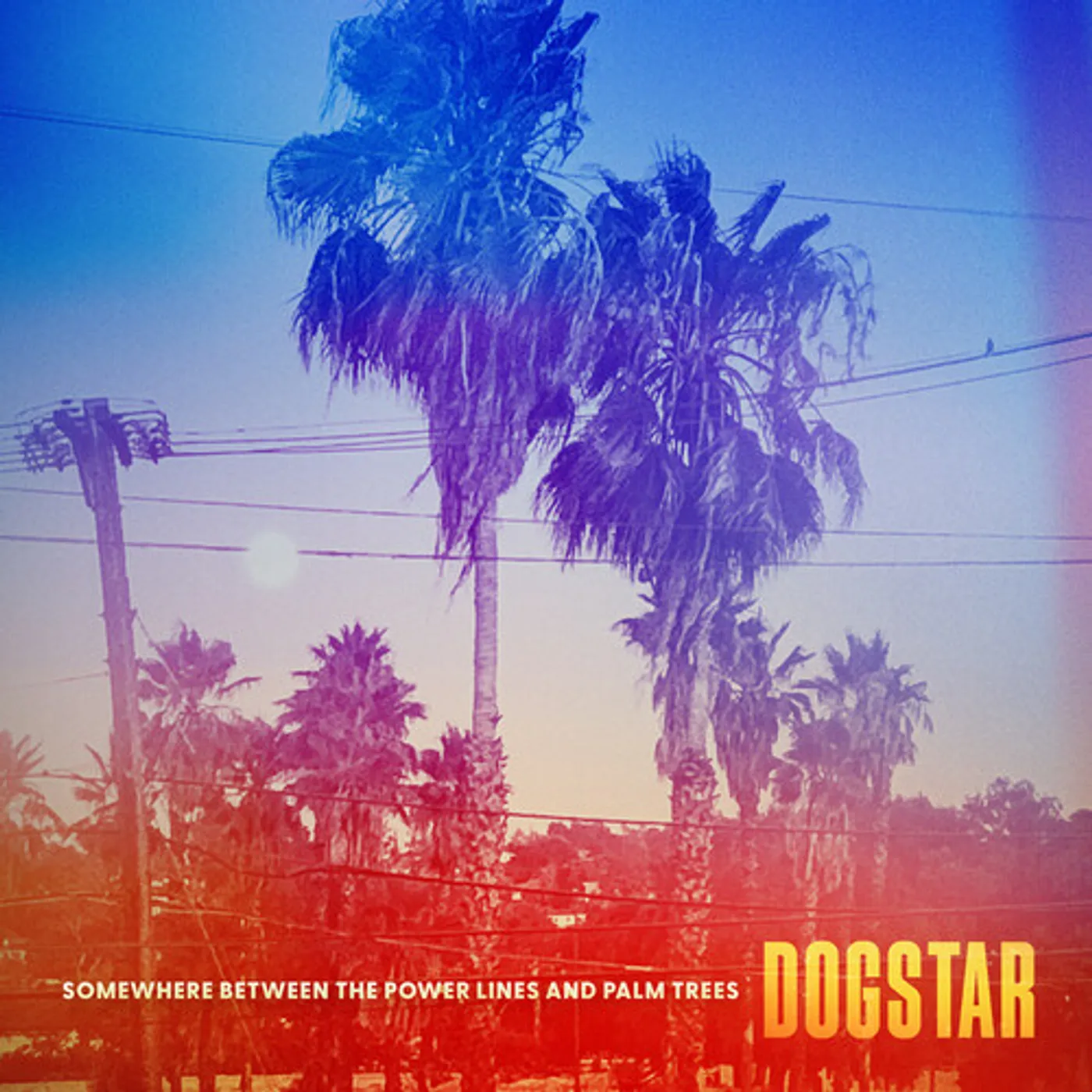 DOGSTAR SOMEWHERE BETWEEN THE POWER LINES AND PALM TREES CD