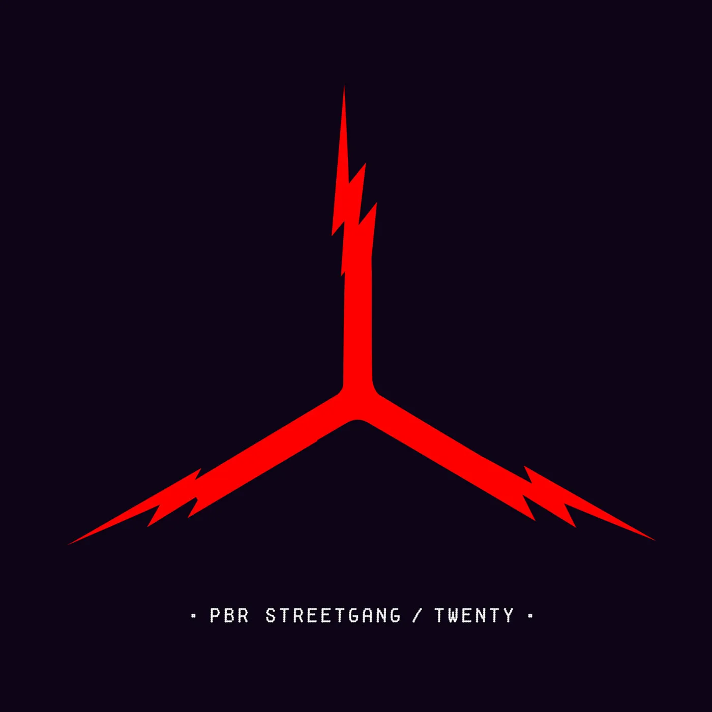 PBR Streetgang TWENTY Vinyl Record