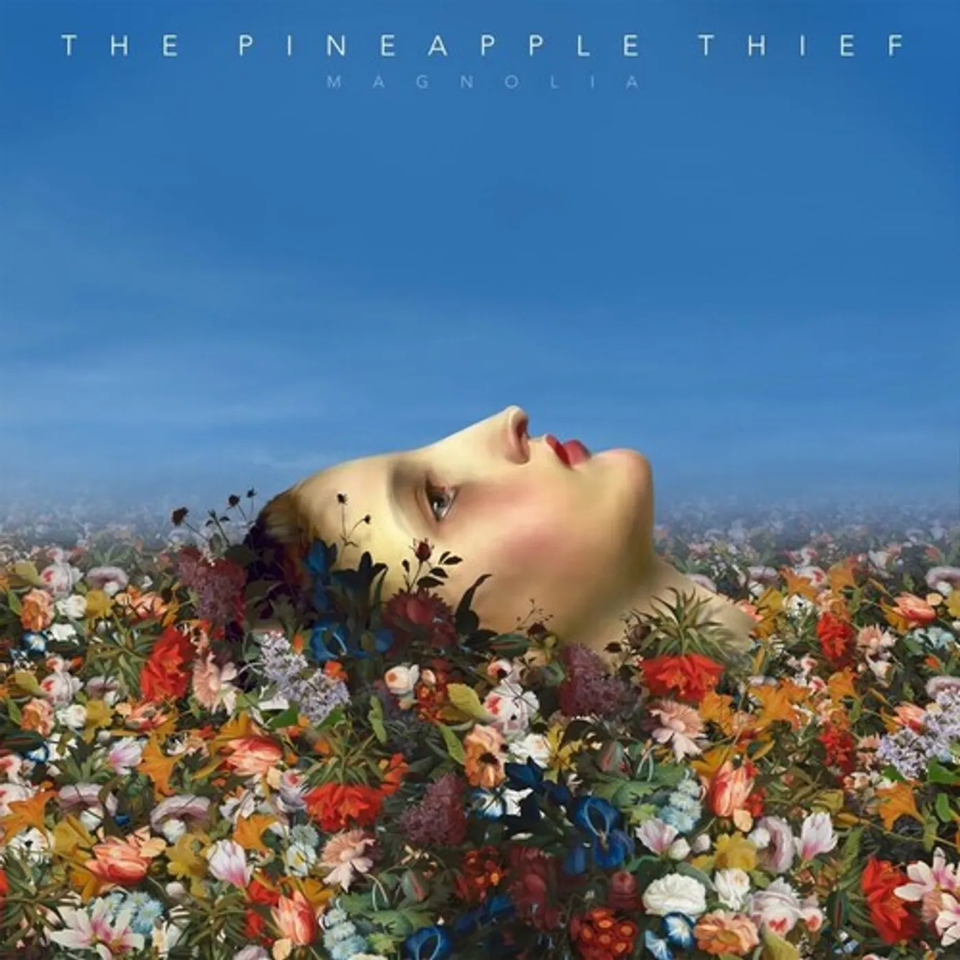 The Pineapple Thief MAGNOLIA Vinyl Record