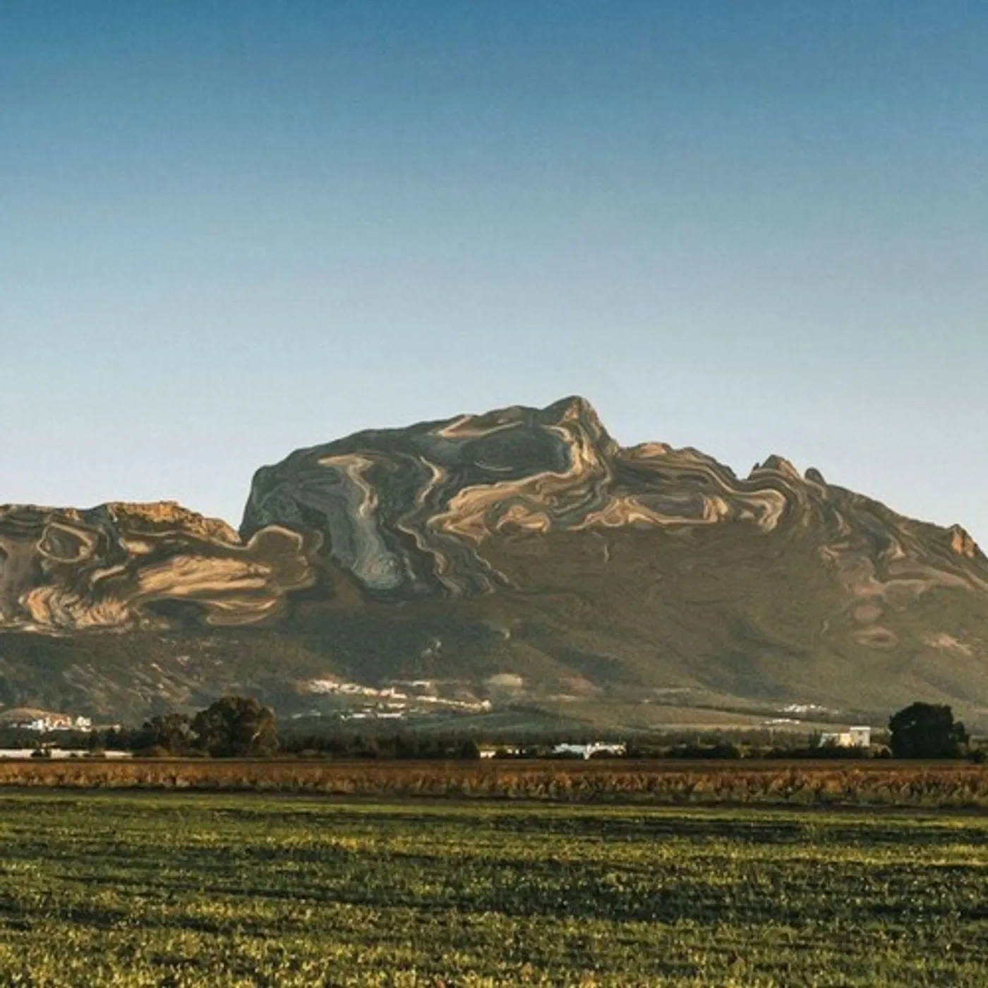 Deena Abdelwahed JBAL RRSAS Vinyl Record