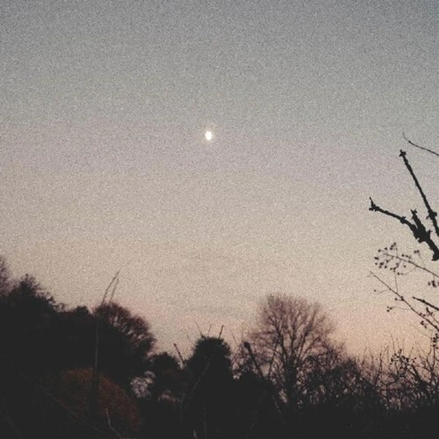 Rachel Sermanni DREAMER AWAKE Vinyl Record