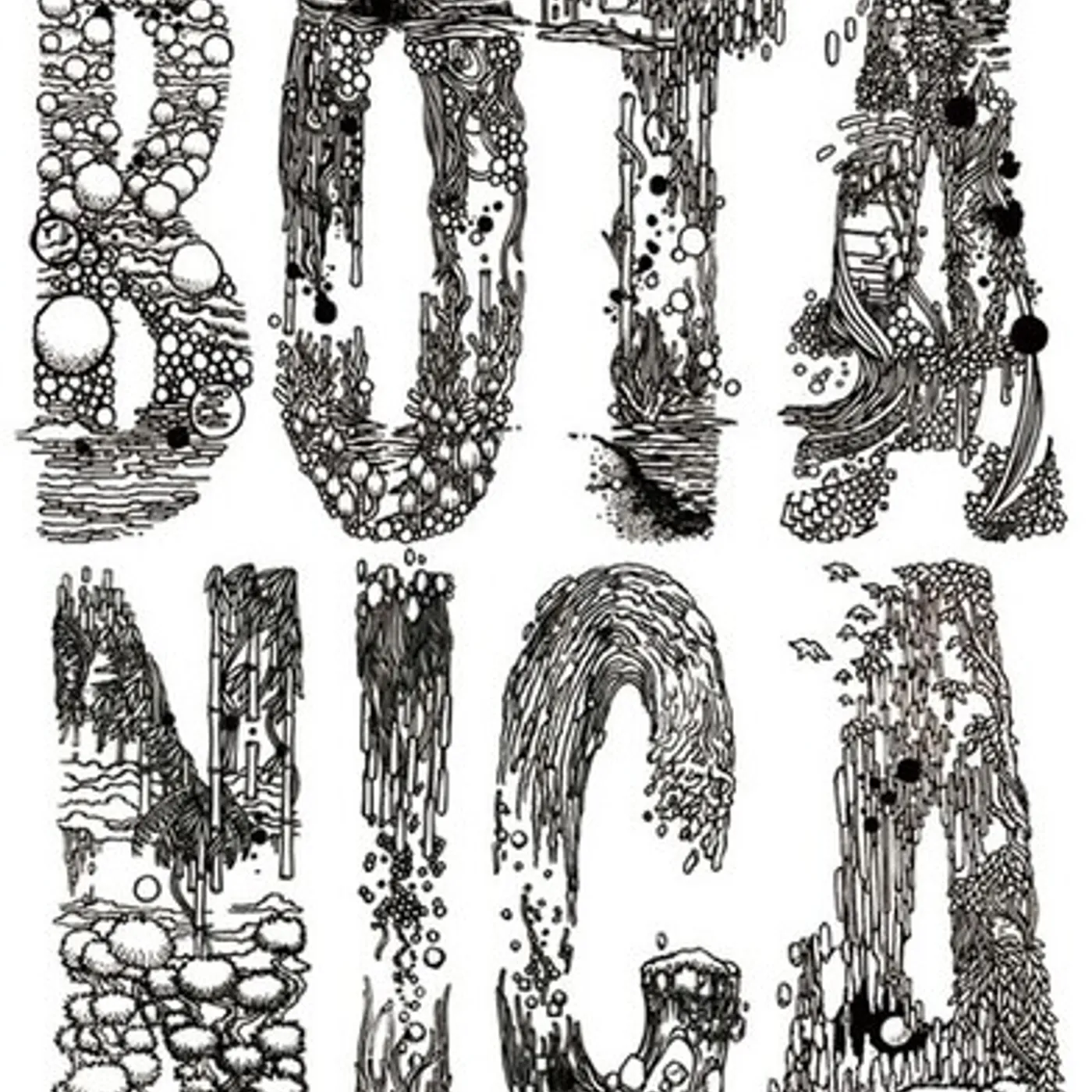 Iori Wakasa BOTANICA EP Vinyl Record