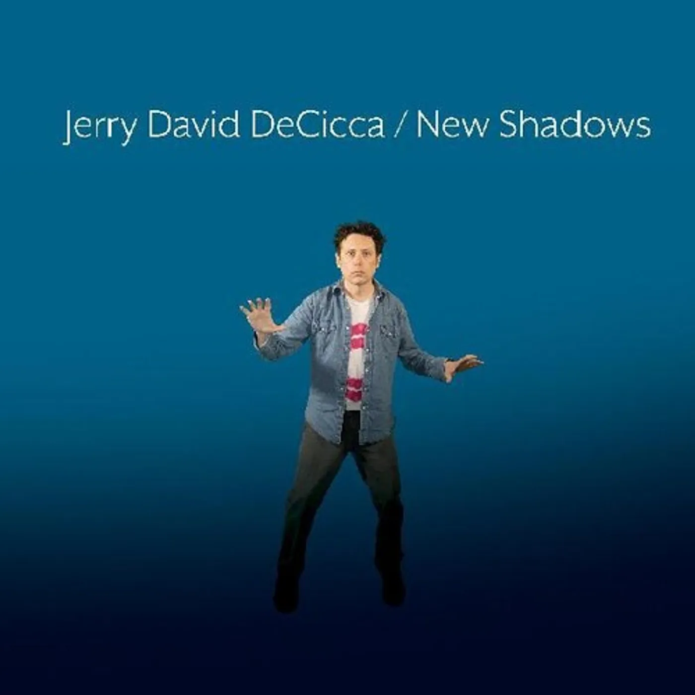 Jerry David DeCicca NEW SHADOWS Vinyl Record