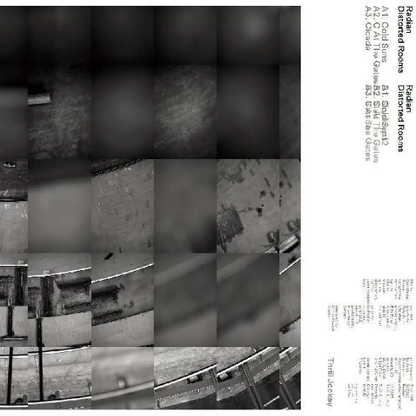 Radian DISTORTED ROOMS Vinyl Record