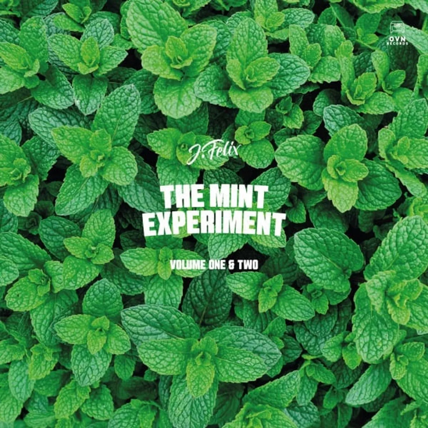 J-Felix MINT EXPERIMENT VOL 1 & 2 Vinyl Record