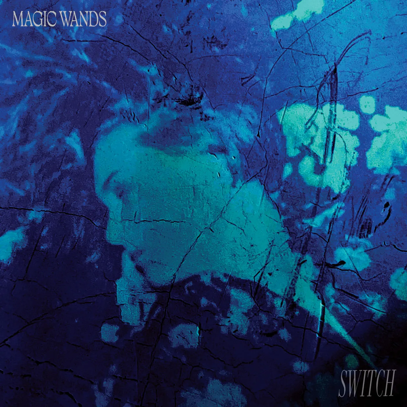 Magic Wands SWITCH Vinyl Record