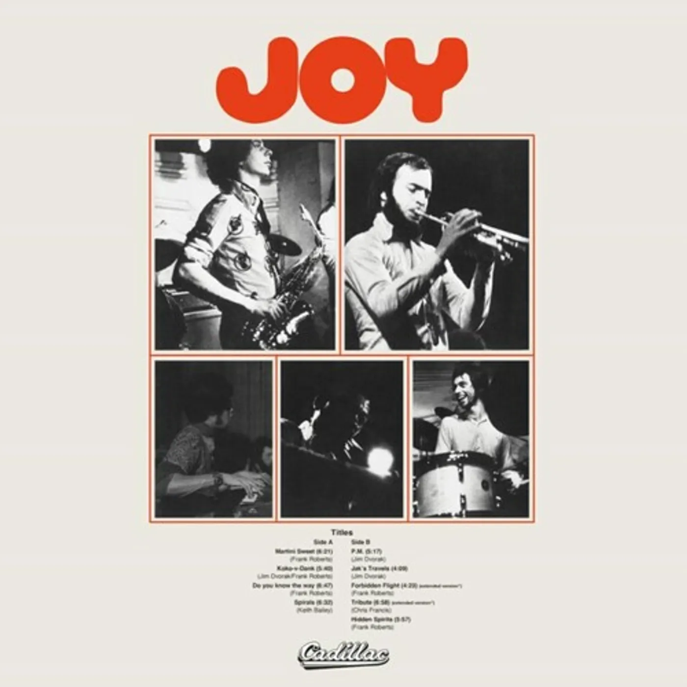  Joy S/T Vinyl Record
