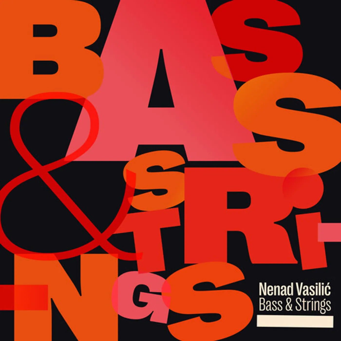 Nenad Vasilic BASS & STRINGS CD