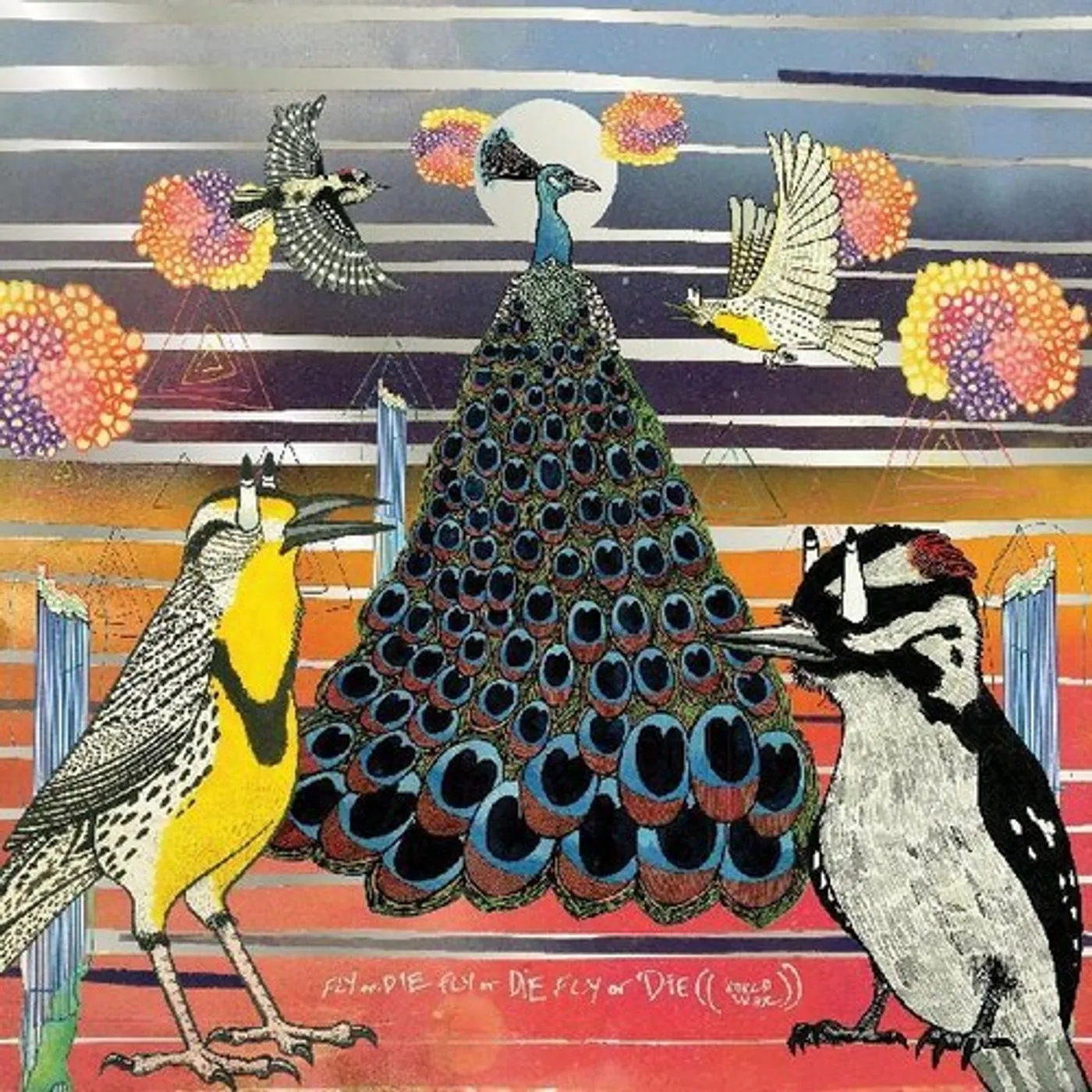 Jaimie Branch FLY OR DIE FLY OR DIE FLY OR DIE Vinyl Record