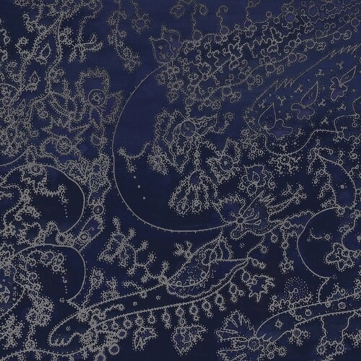 Svitlana Nianio LISOVA KOLEKCIYA Vinyl Record