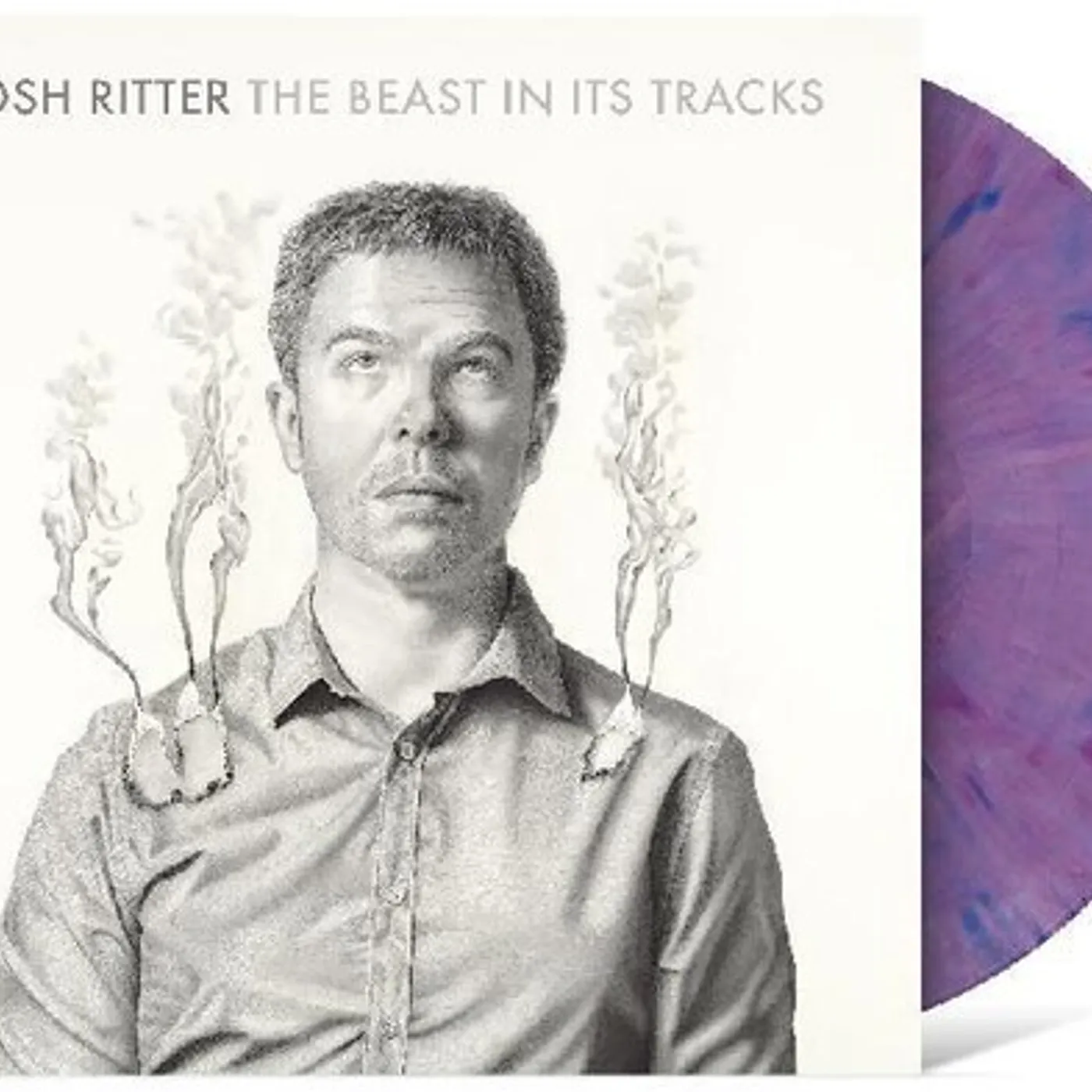 Josh Ritter BEAST IN ITS TRACKS Vinyl Record