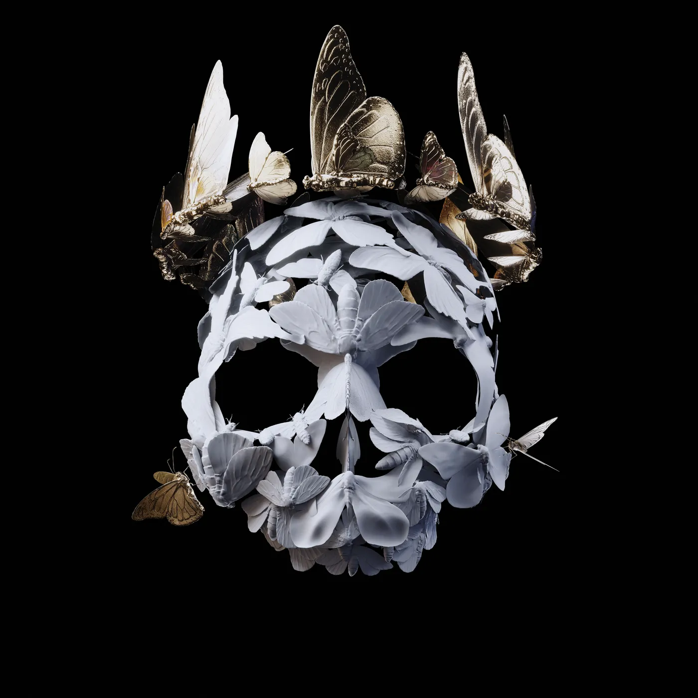 Princess Goes COME OF AGE Vinyl Record