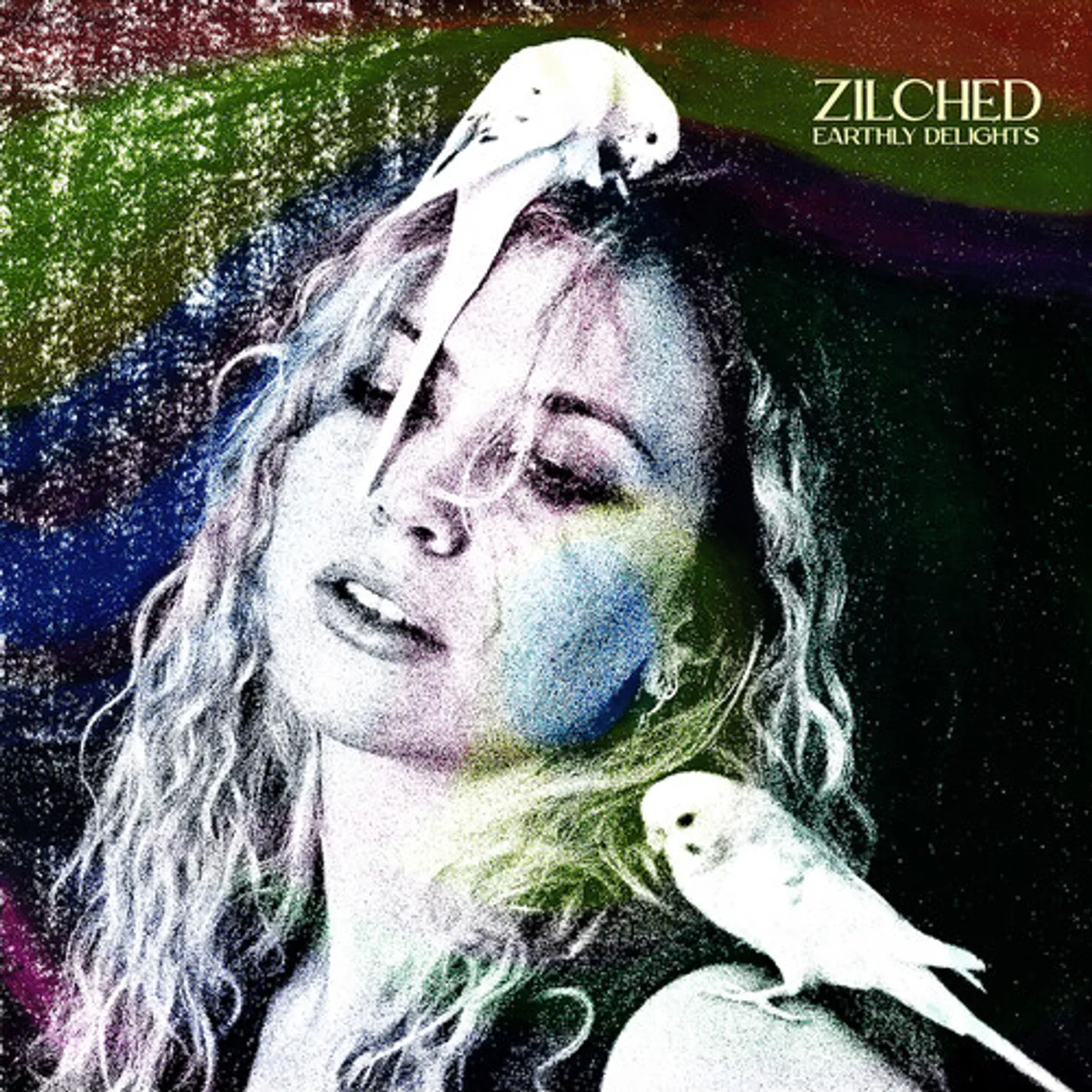 Zilched EARTHLY DELIGHTS Vinyl Record