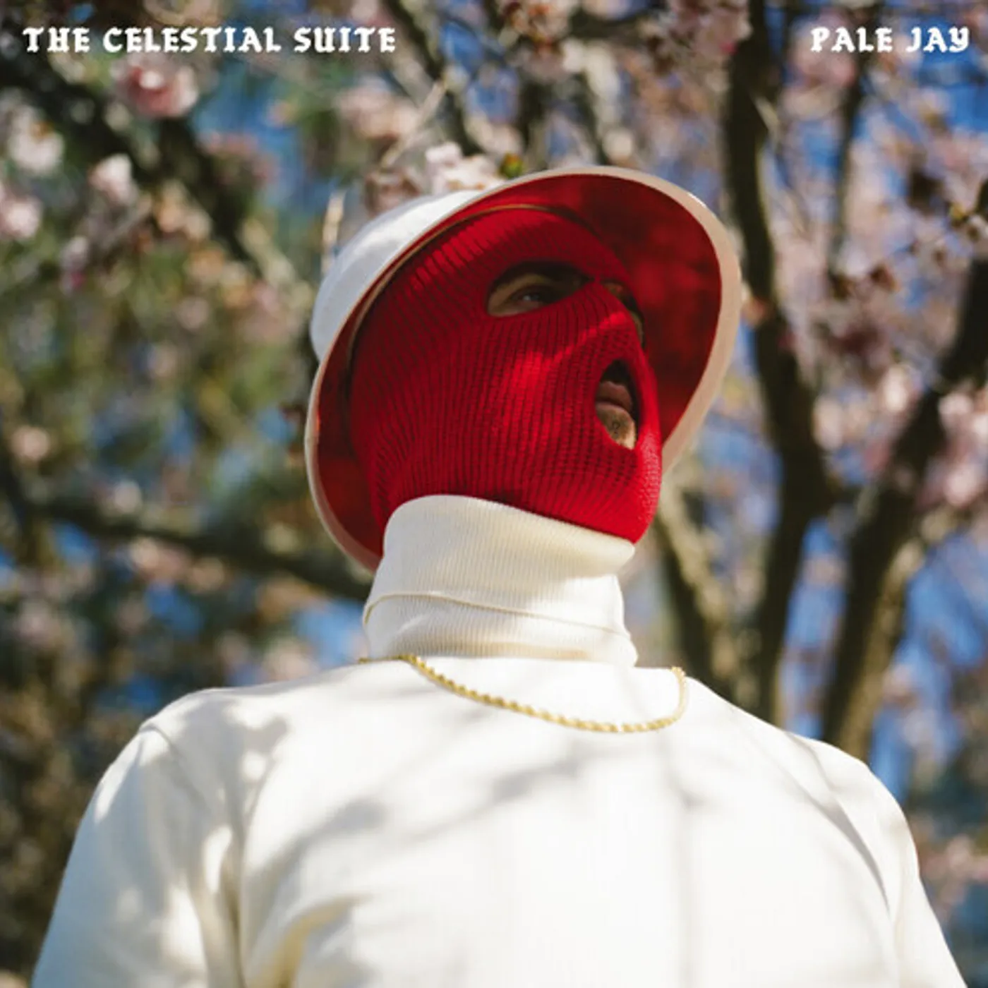 Pale Jay Celestial Suite Vinyl Record