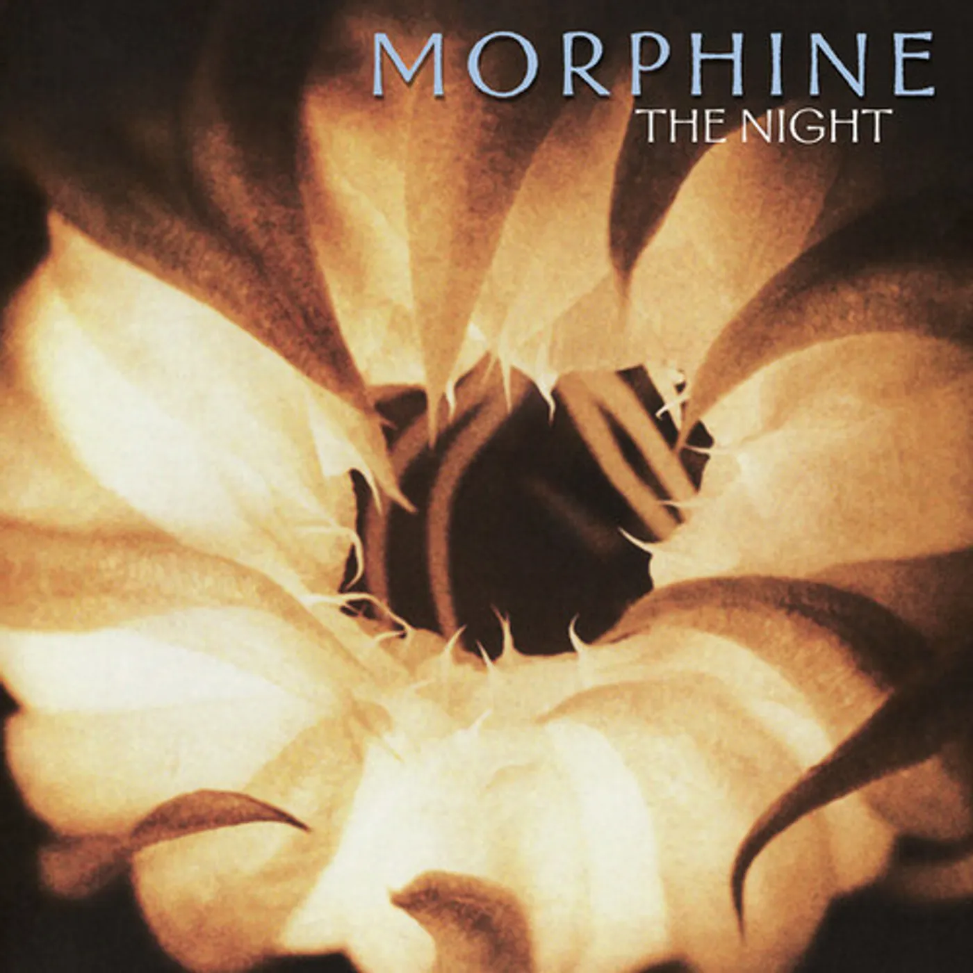 Morphine NIGHT - ORANGE Vinyl Record