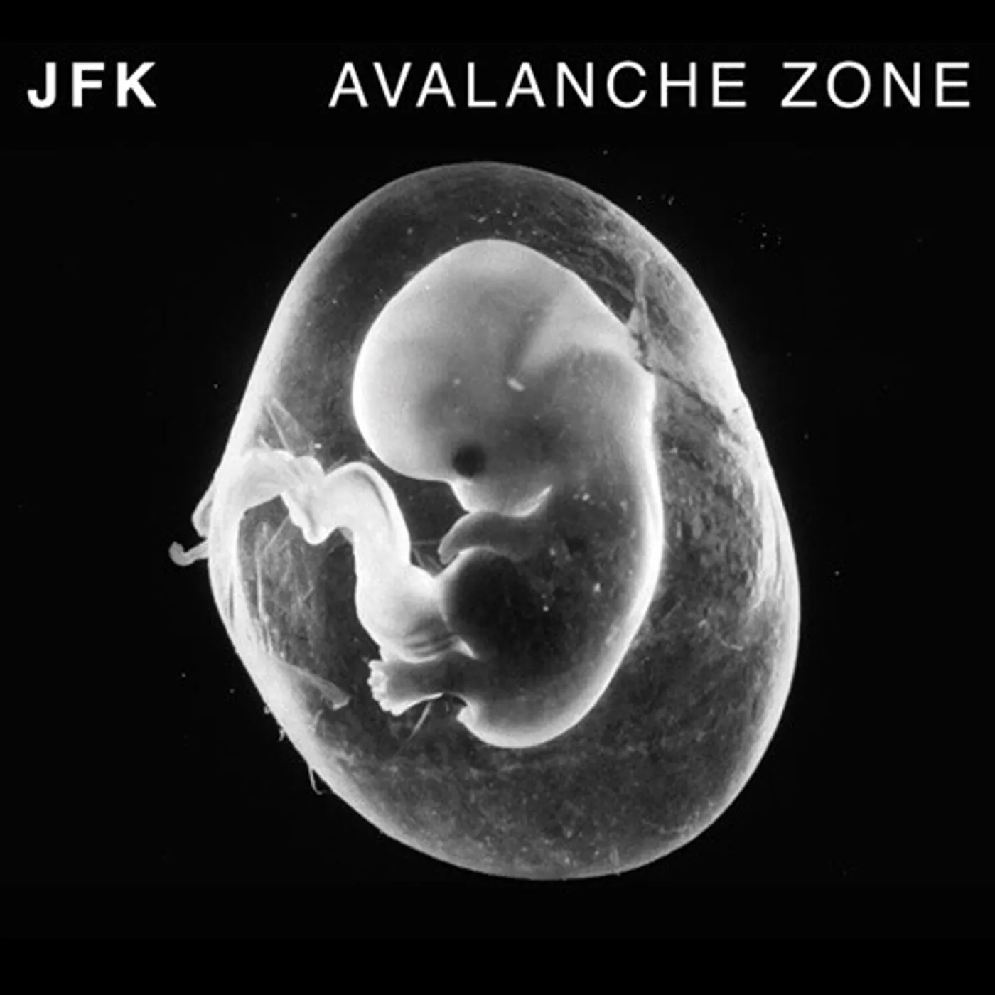 JFK AVALANCHE ZONE CD