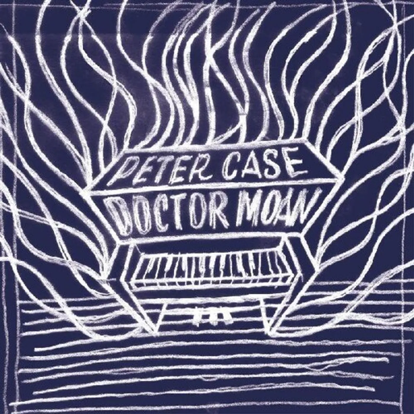 Peter Case DOCTOR MOAN Vinyl Record