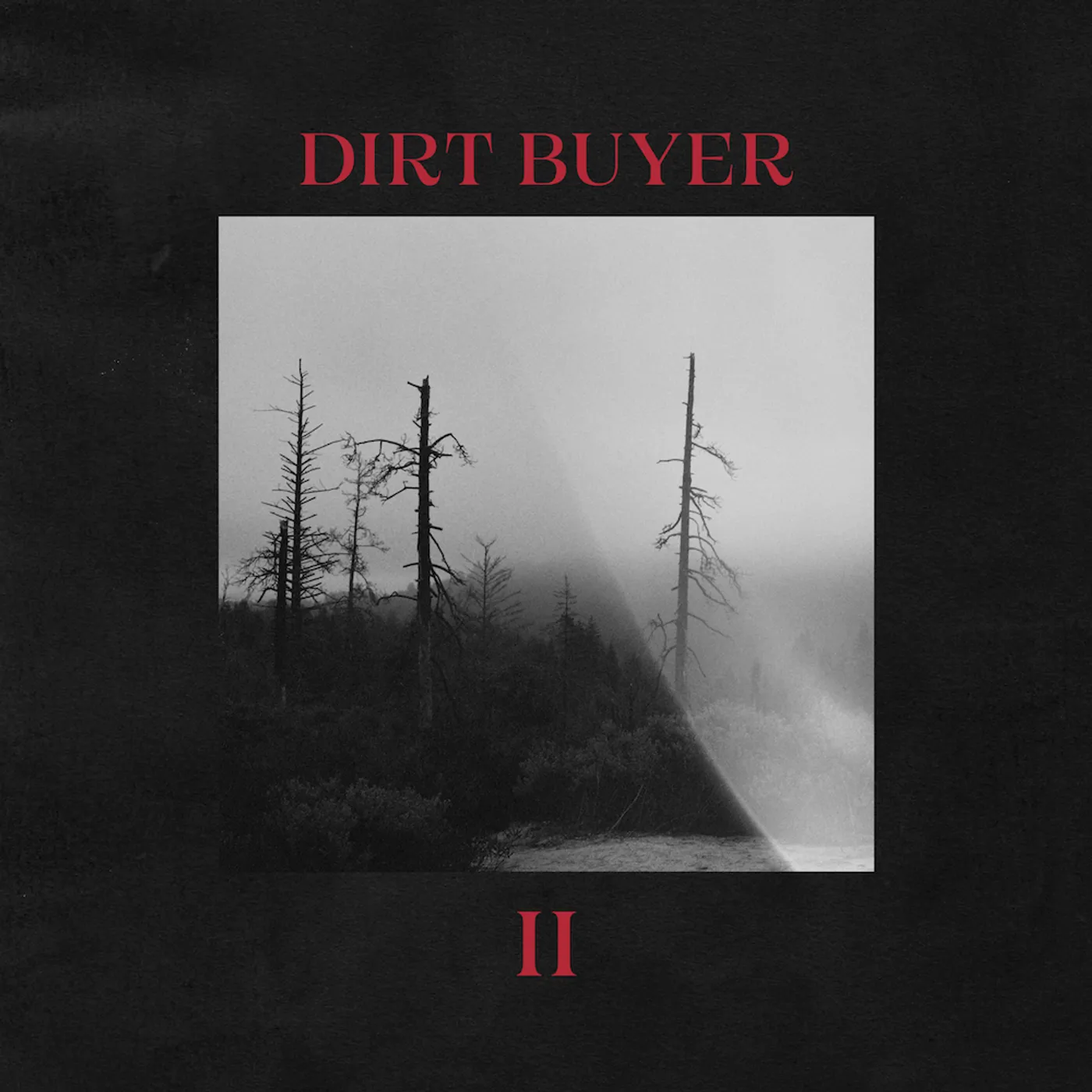 Dirt Buyer II (Red Marble) Vinyl Record