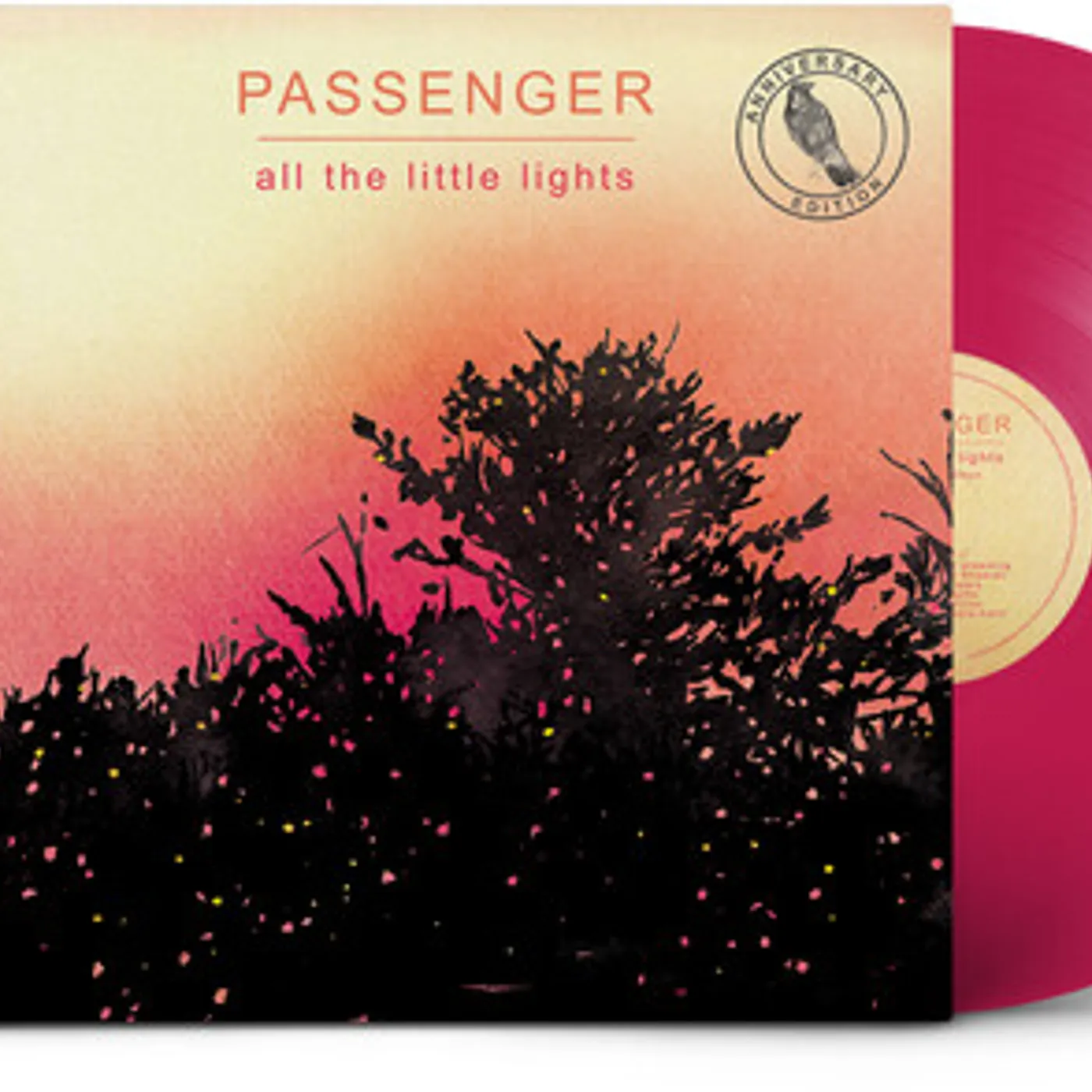 Passenger ALL THE LITTLE LIGHTS (ANNIV. EDITION) - PINK Vinyl Record
