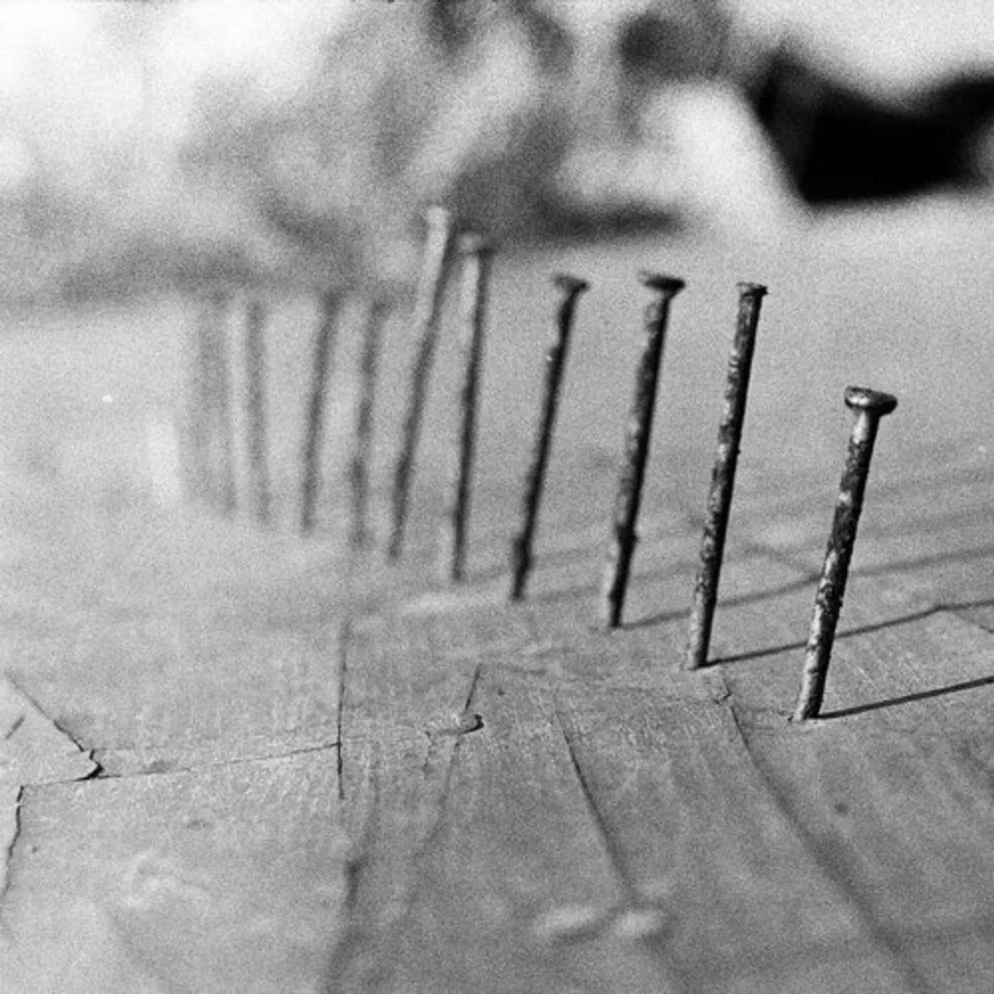 Blind Seagull NAILS Vinyl Record