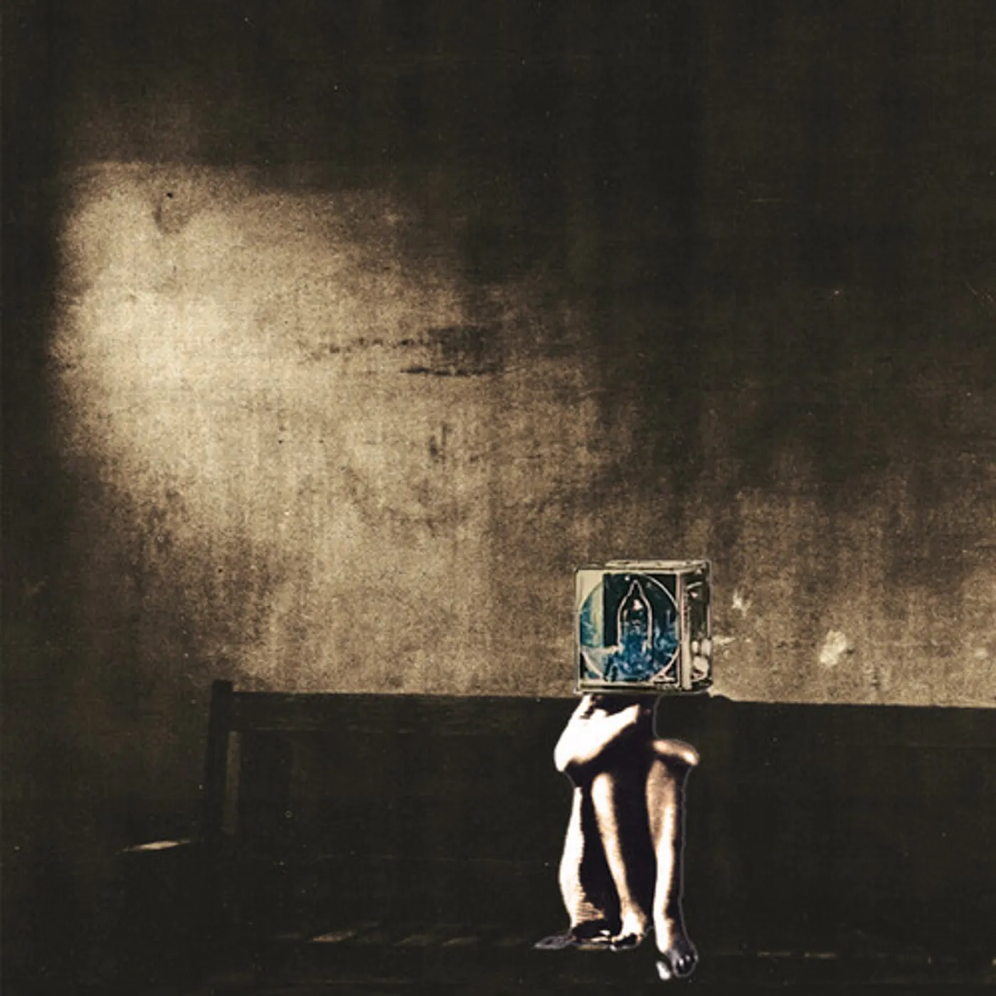 The Polyphonic Spree SALVAGE ENTERPRISE Vinyl Record