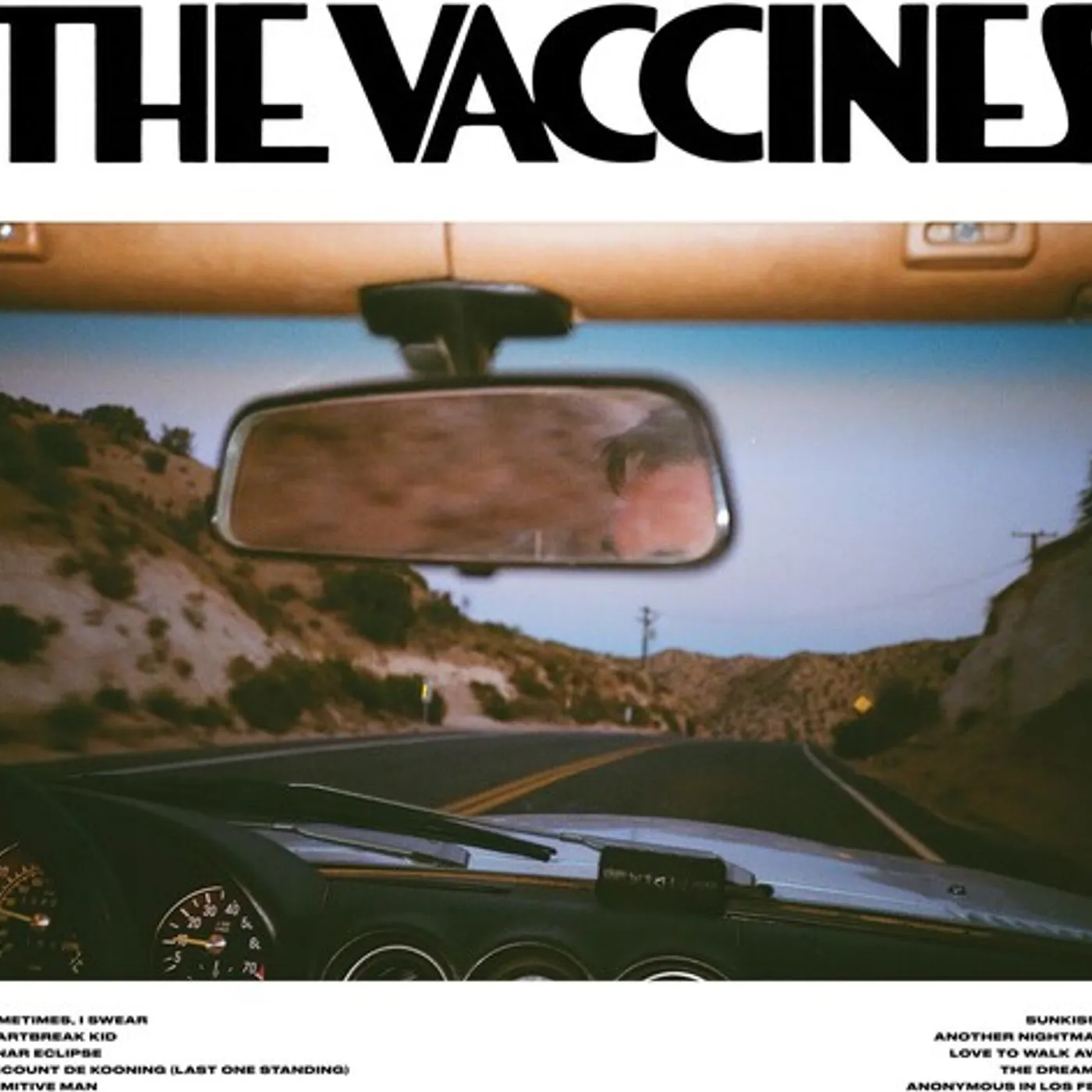 The Vaccines Pick-up Full Of Pink Carnations (Pink) Vinyl Record