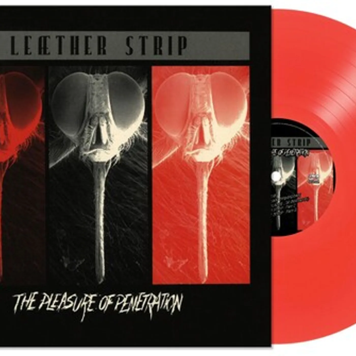 Leather Strip PLEASURE OF PENETRATION - RED Vinyl Record