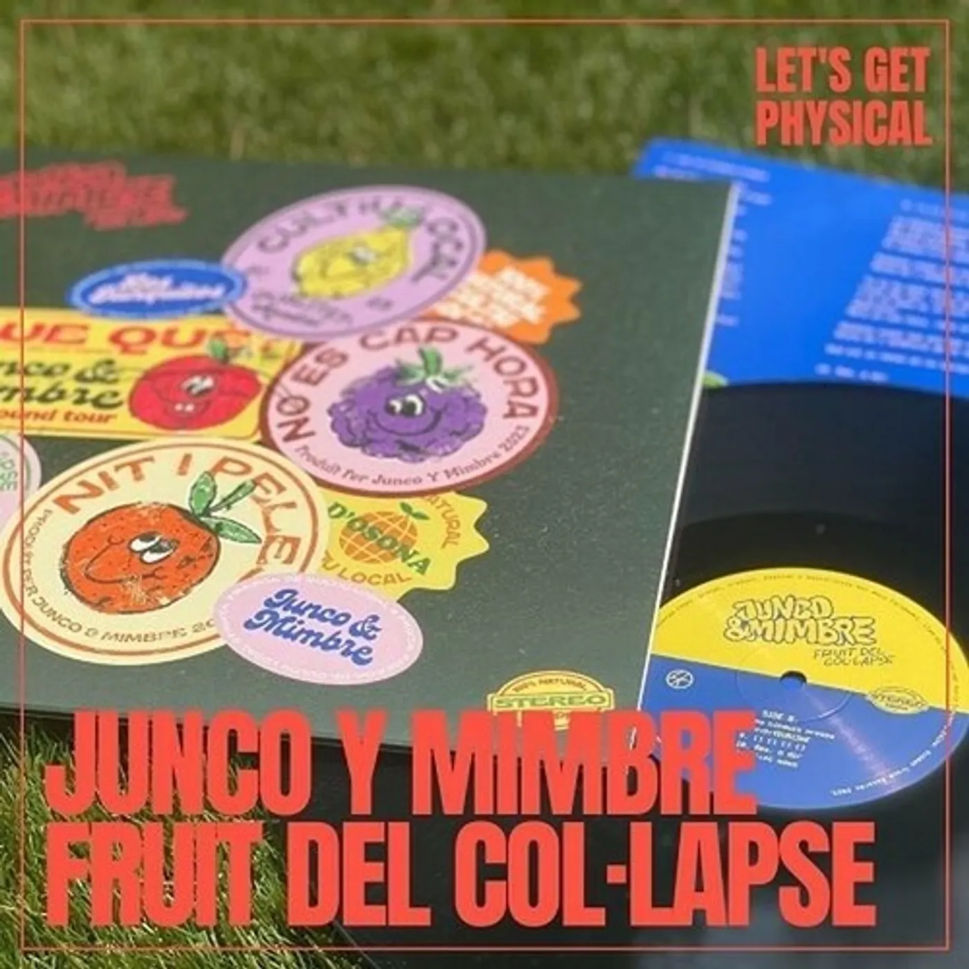 Junco y Mimbre FRUIT DEL COL-LAPSE Vinyl Record