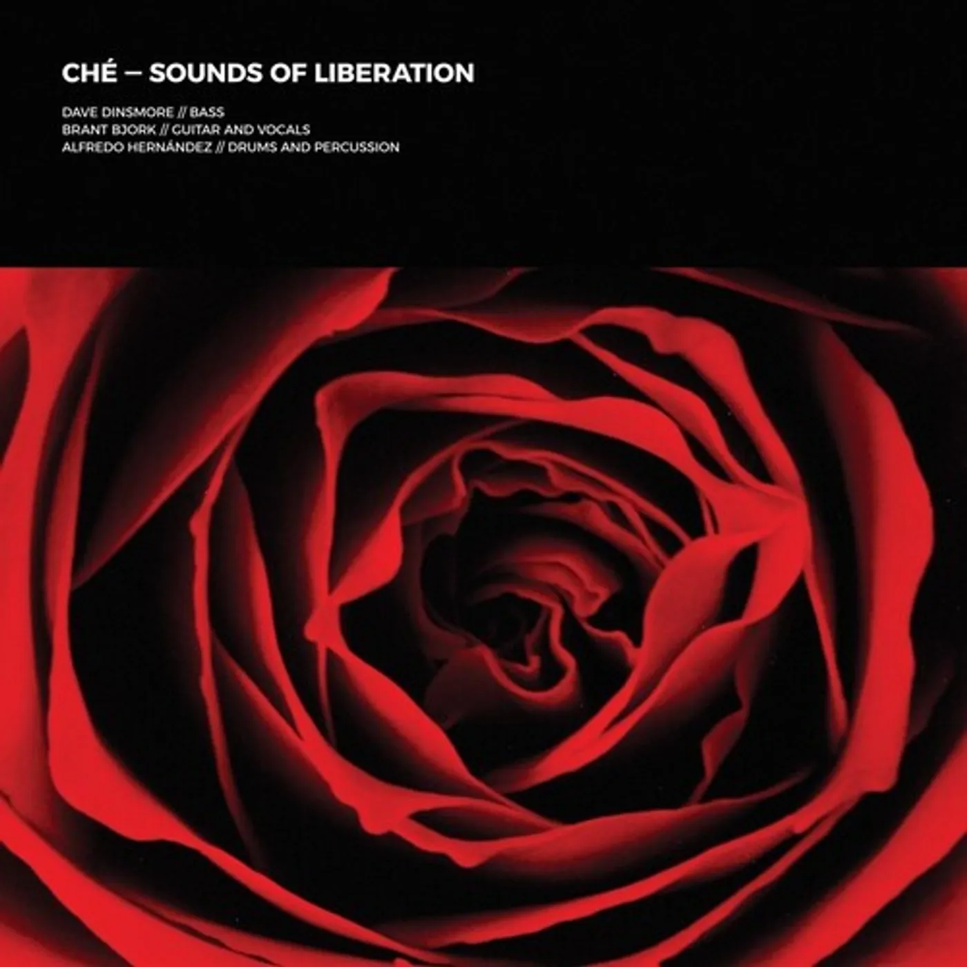 che SOUNDS OF LIBERATION Vinyl Record