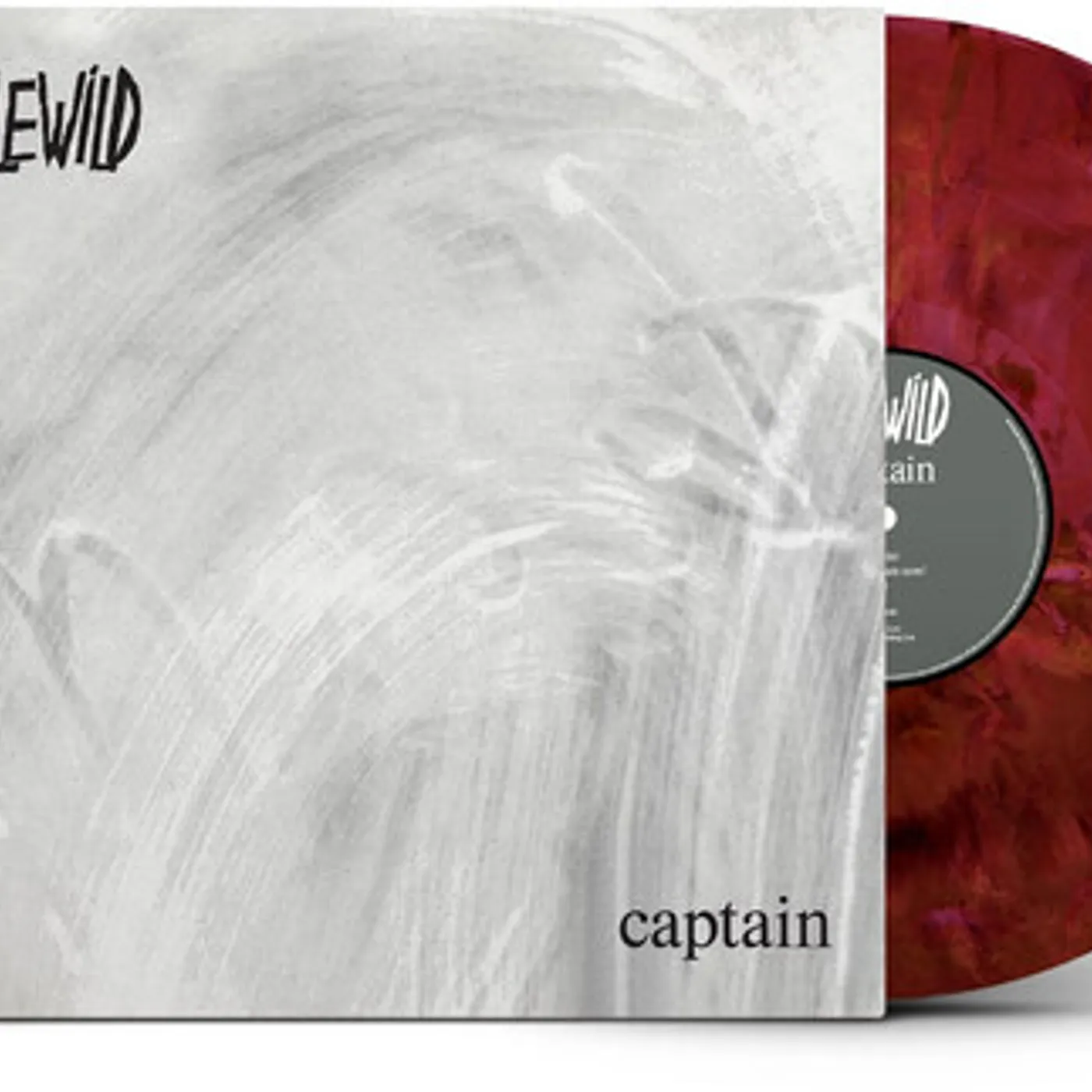 Idlewild CAPTAIN Vinyl Record