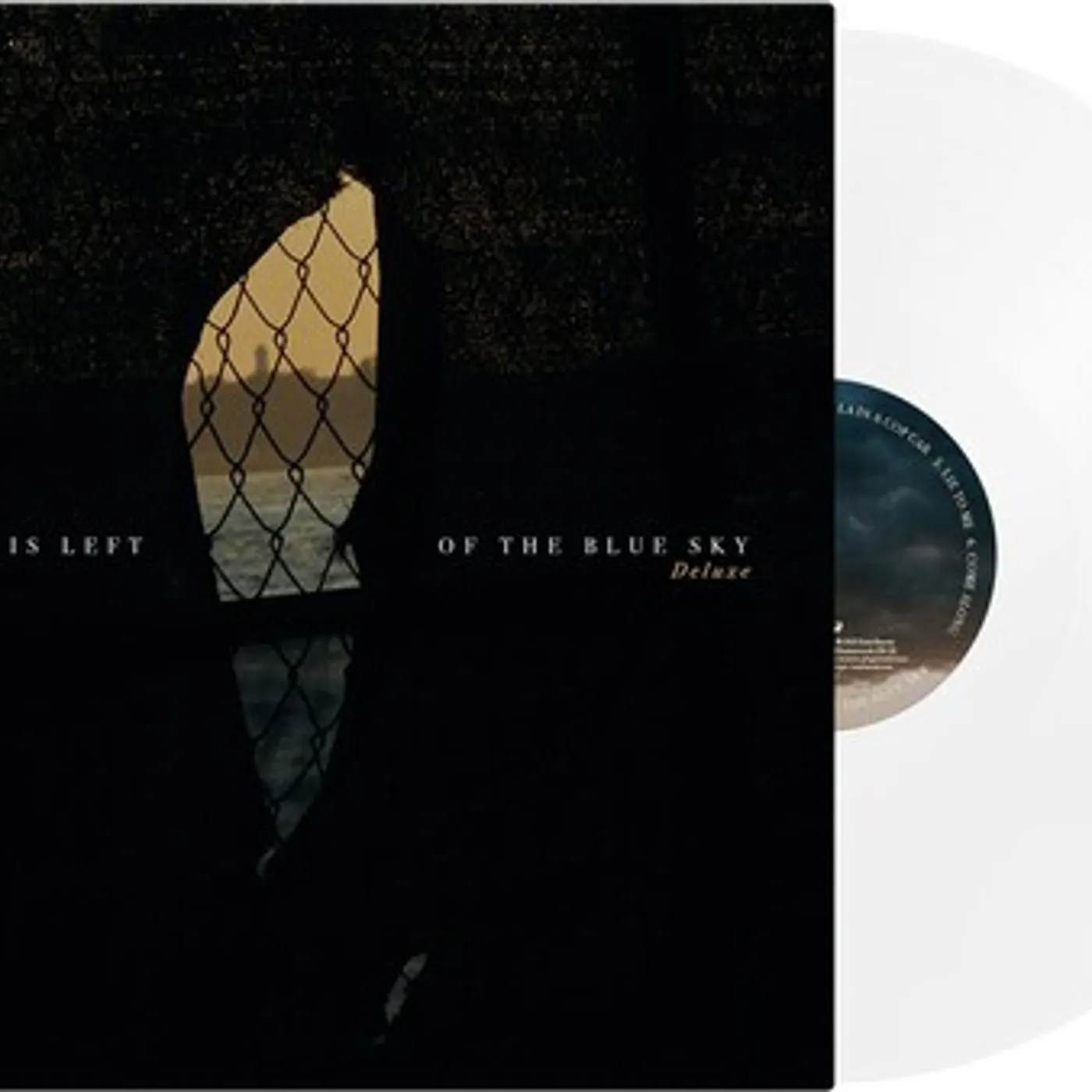 The Dangerous Summer ALL THAT IS LEFT OF THE BLUE SKY Vinyl Record