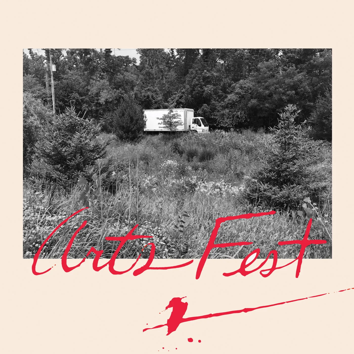 Lemon Quartet Arts Fest Vinyl Record