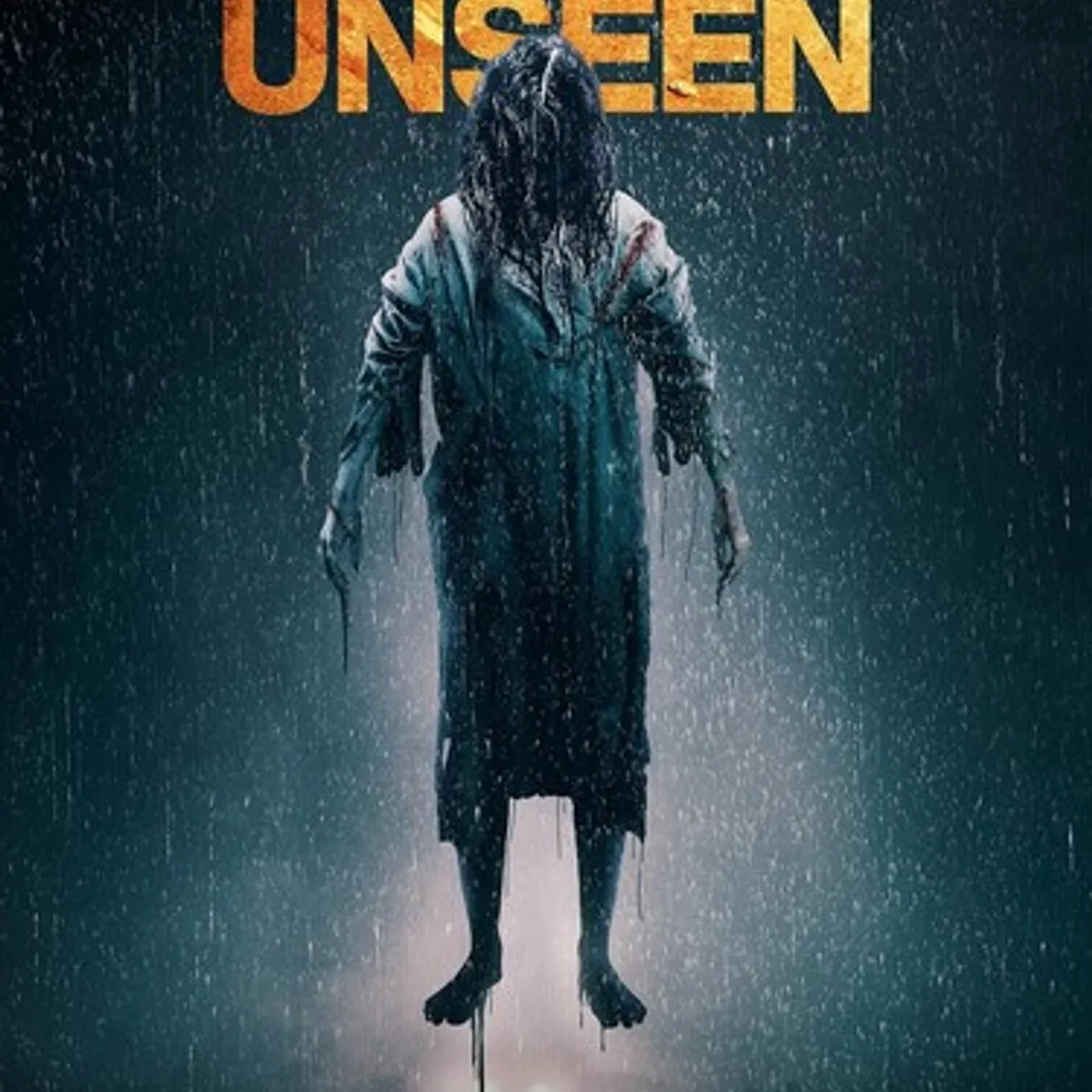 THE UNSEEN DVD