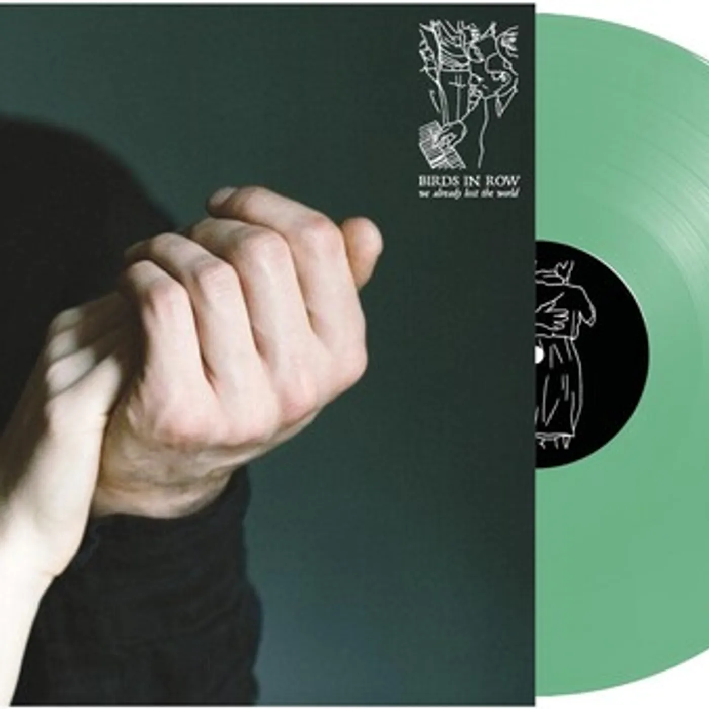 Birds in Row We Already Lost The World Vinyl Record