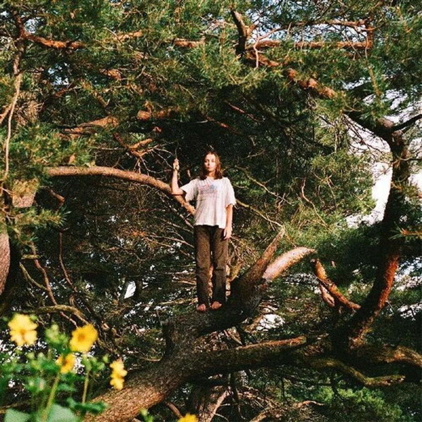 PACKS Melt The Honey Vinyl Record