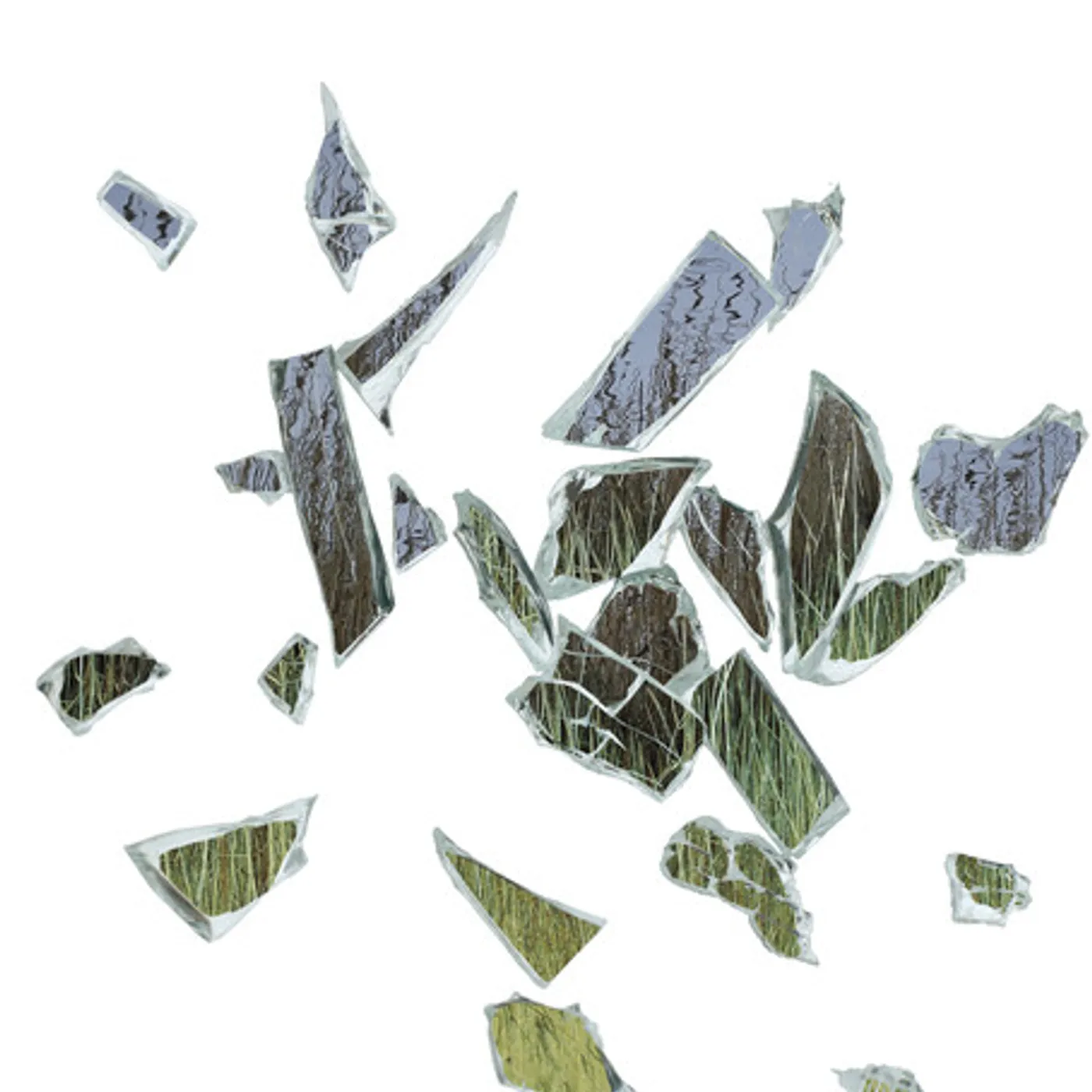 These New Puritans Field Of Reeds Vinyl Record