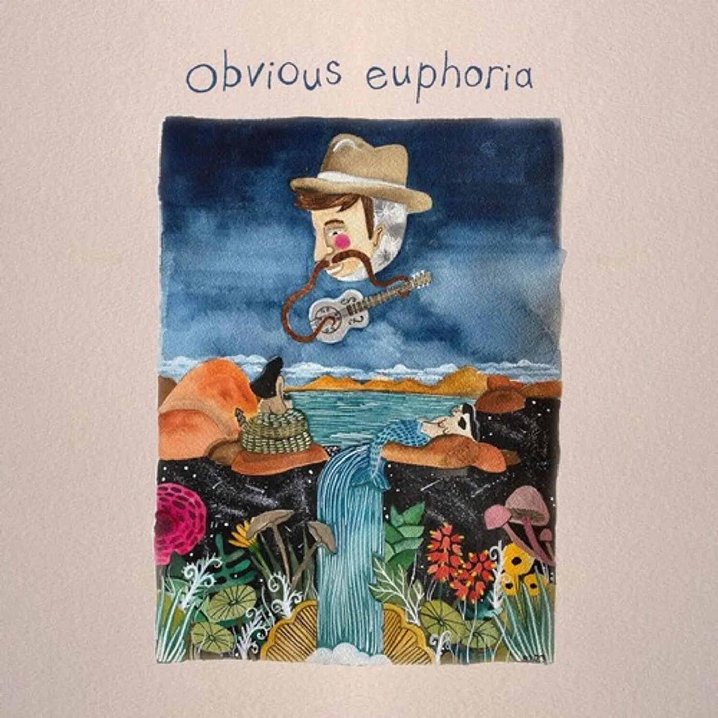 Matt Mitchell Music Co. OBVIOUS EUPHORIA Vinyl Record
