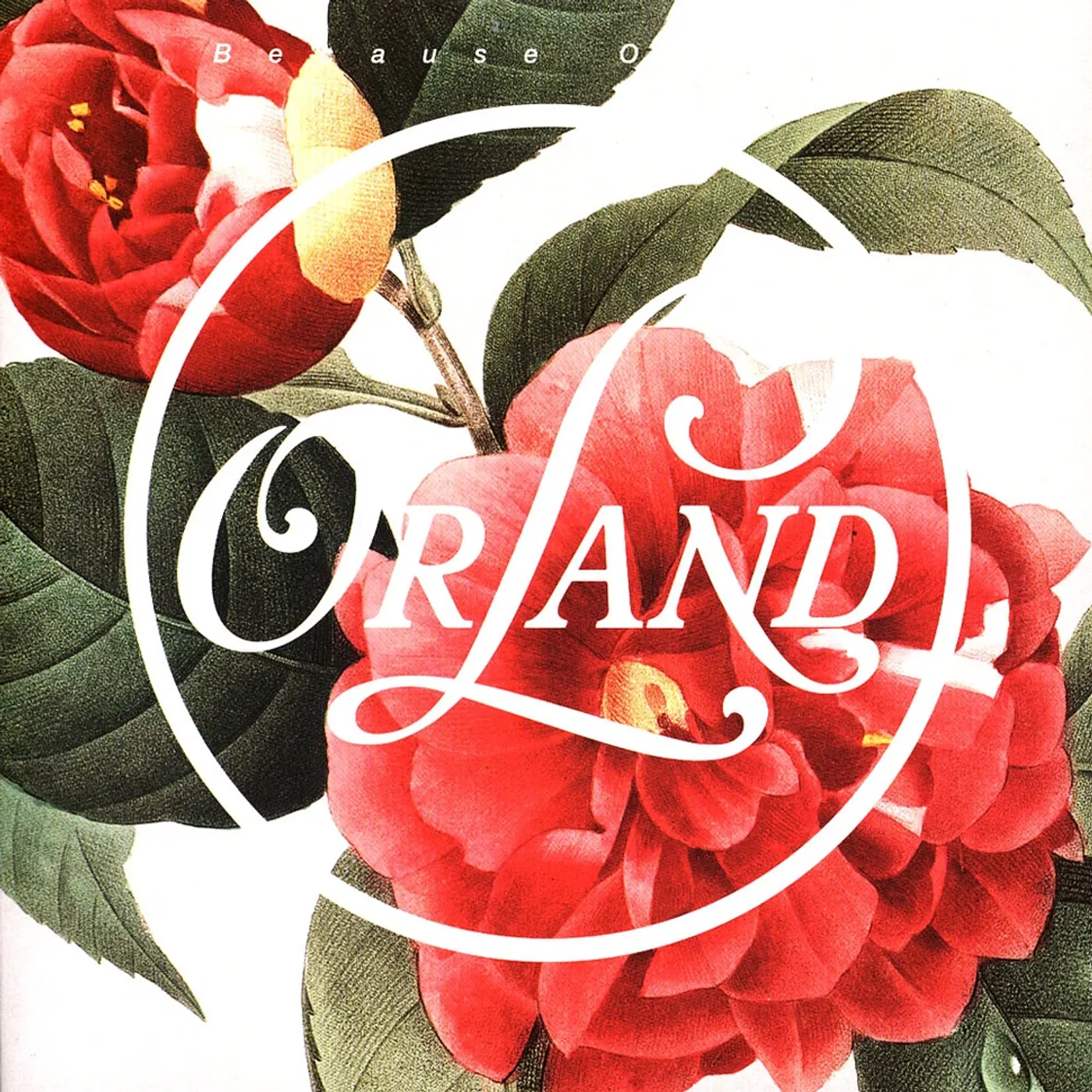 Orland BECAUSE OF YOU Vinyl Record