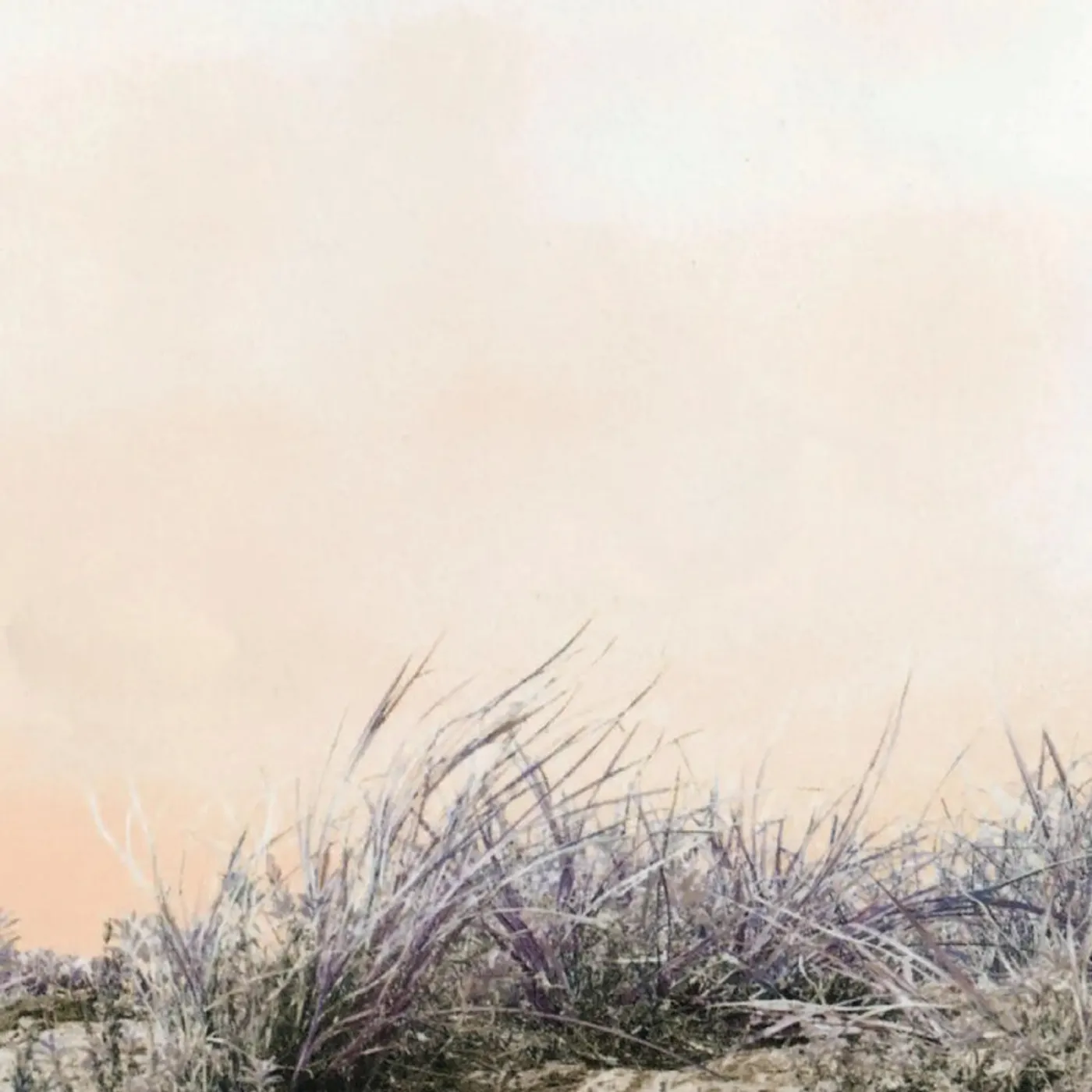 ART-SCHOOL Love/Hate Vinyl Record