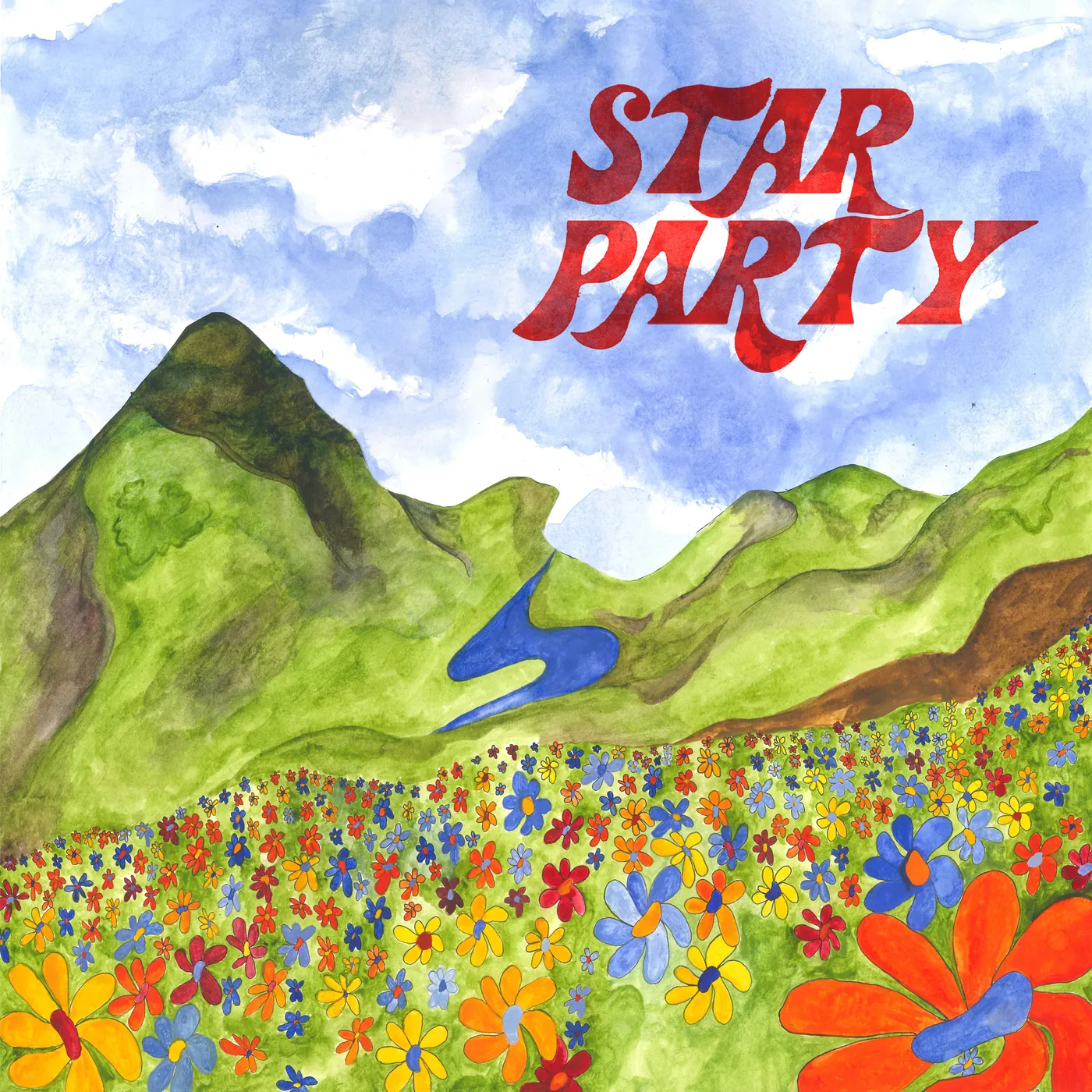 Star Party Meadow Flower Vinyl Record