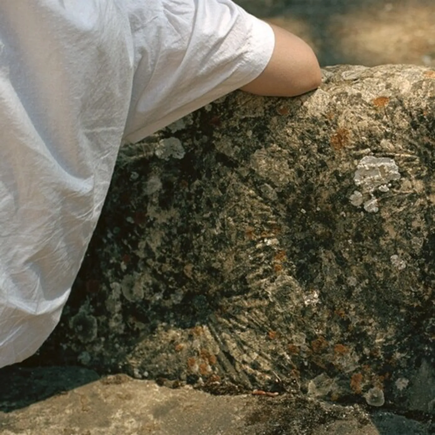 Marja Ahti TENDER MEMBRANES Vinyl Record