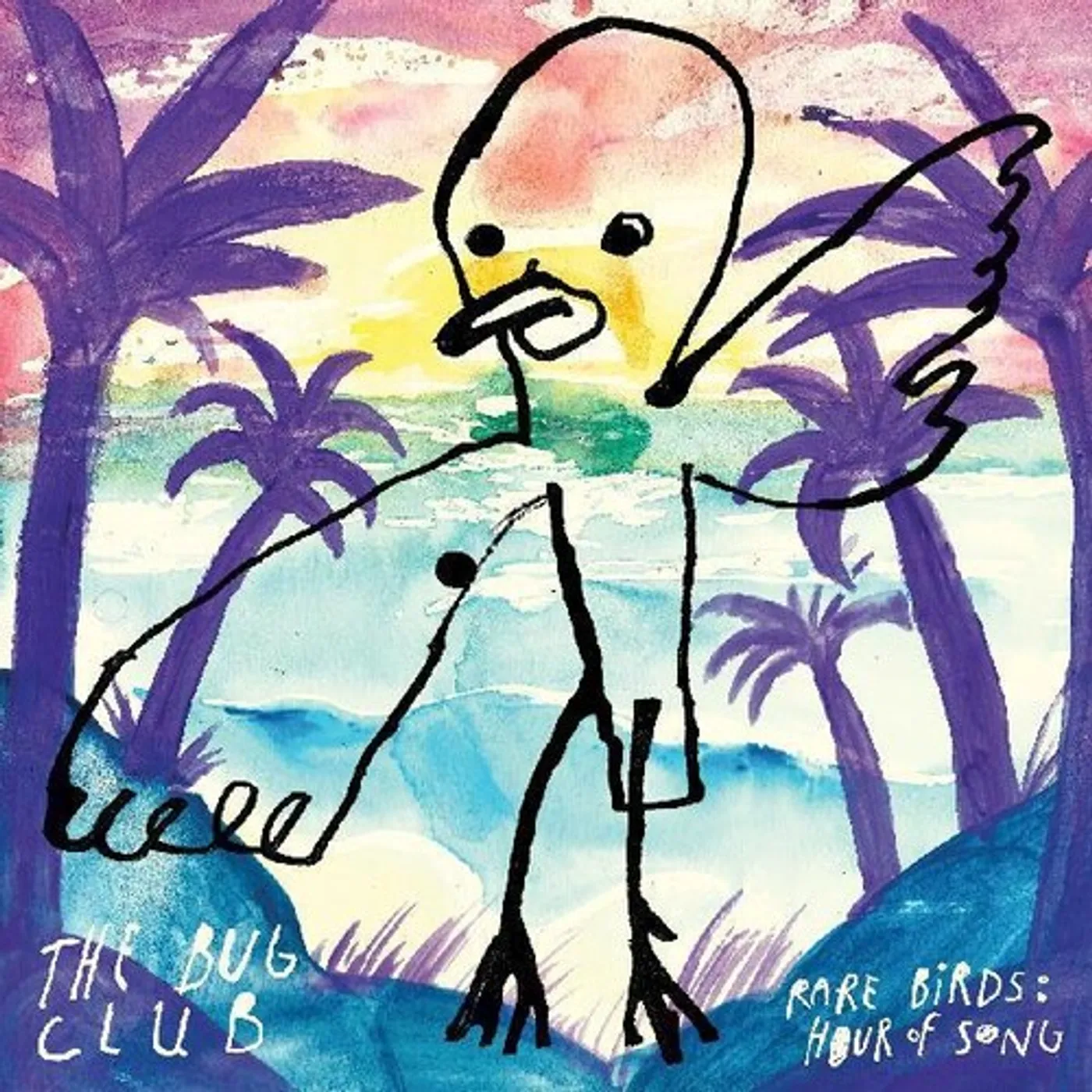 The Bug Club RARE BIRDS: HOUR OF SONG Vinyl Record