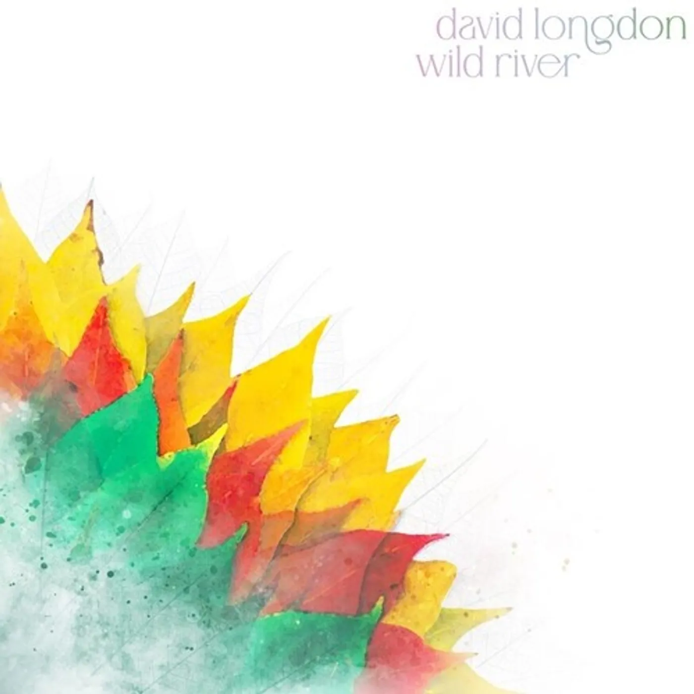 David Longdon WILD RIVER CD