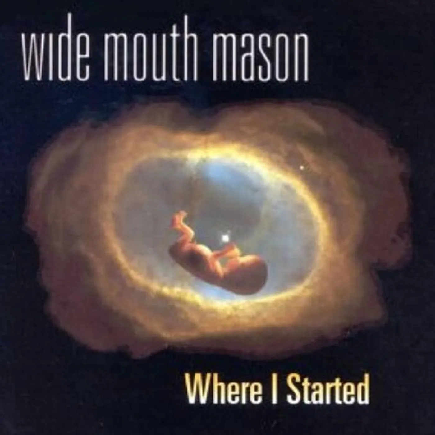 Wide Mouth Mason Where I Started Vinyl Record