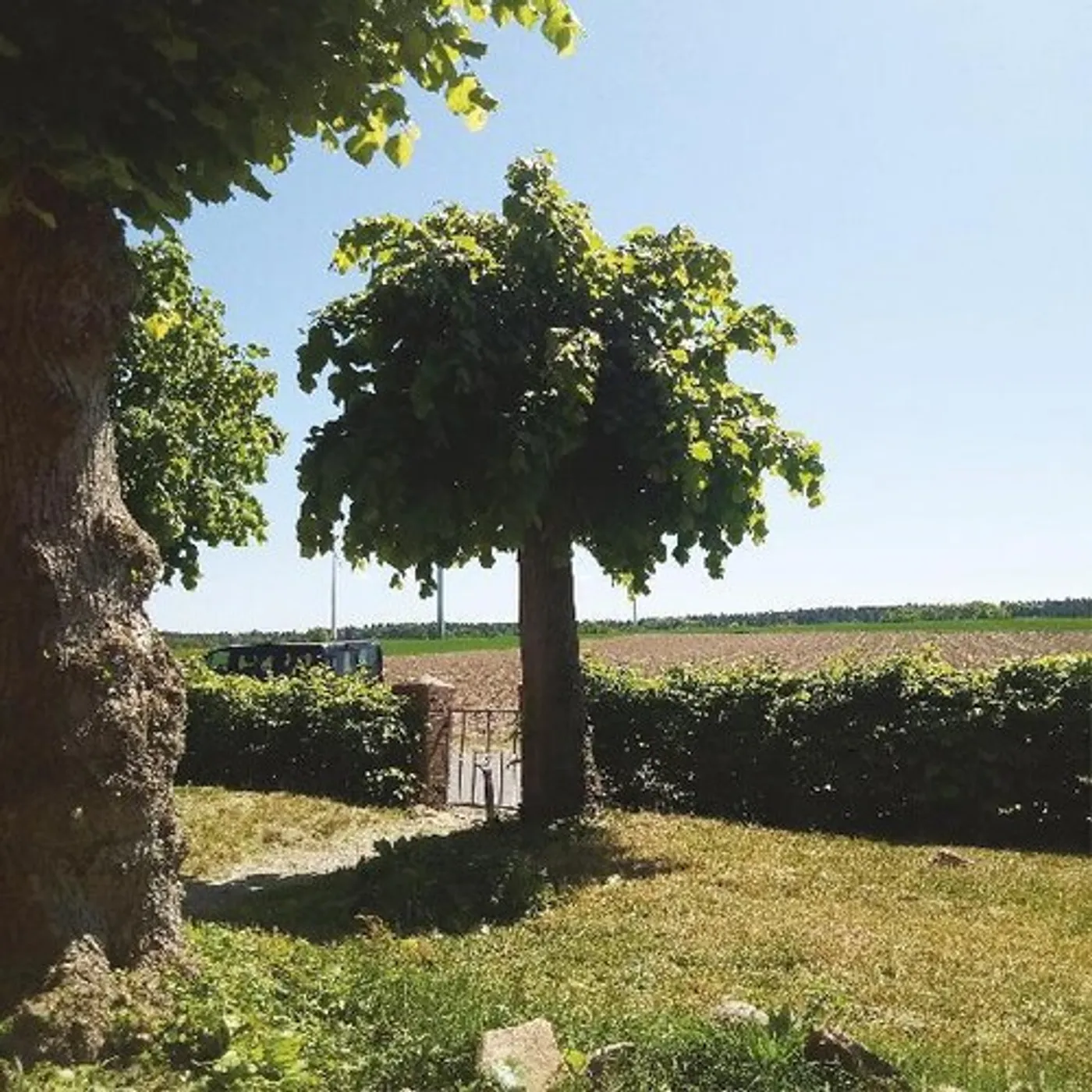 Sigtryggur Berg Sigmarsson Into The Second Half Vinyl Record