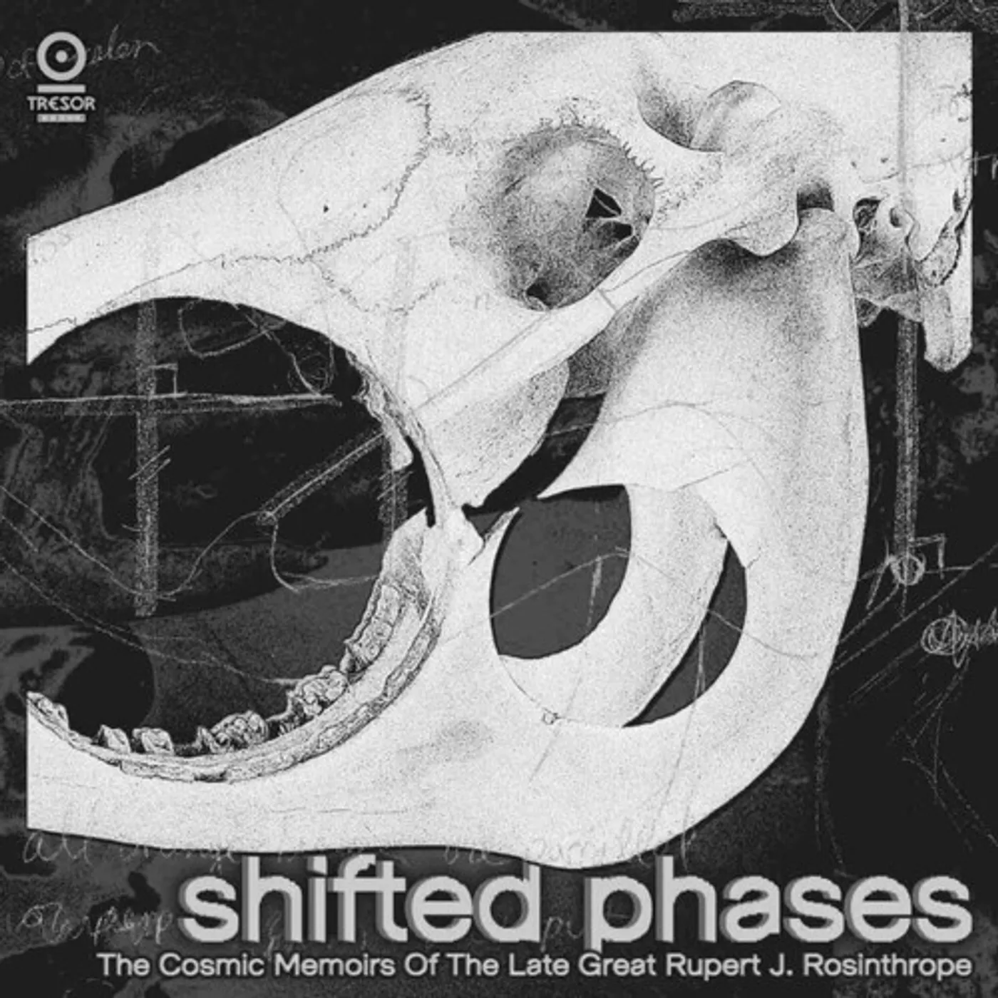 Shifted Phases COSMIC MEMOIRS OF LATE GREAT RUPERT J ROSINTHROPE Vinyl Record