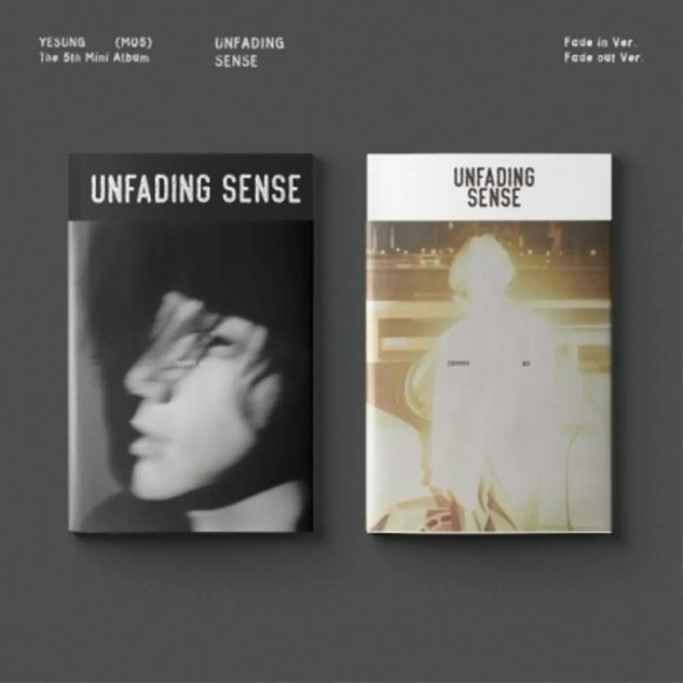 YESUNG UNFADING SENSE - PHOTO BOOK VERSION CD