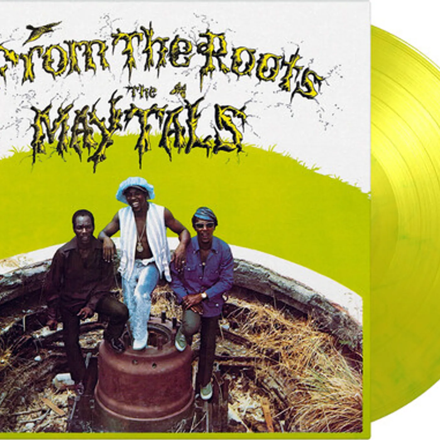 The Maytals FROM THE ROOTS Vinyl Record
