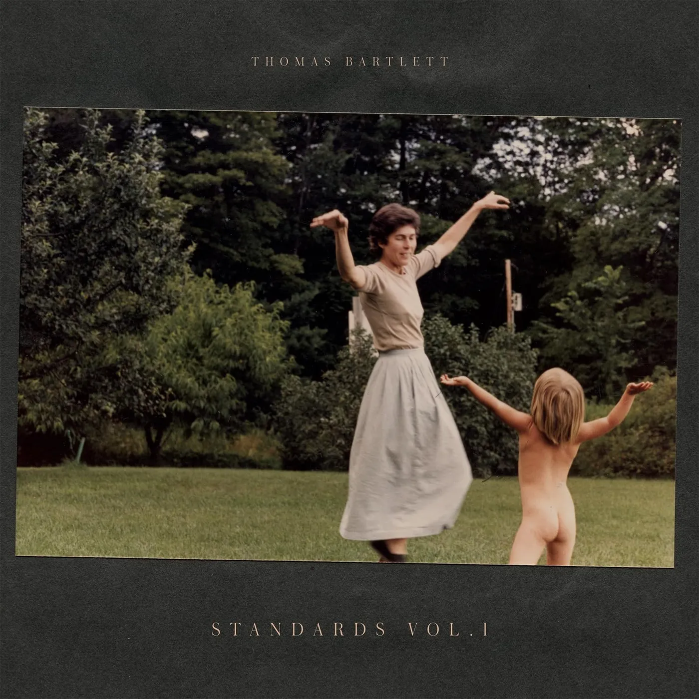 Thomas Bartlett STANDARDS VOL.1 Vinyl Record